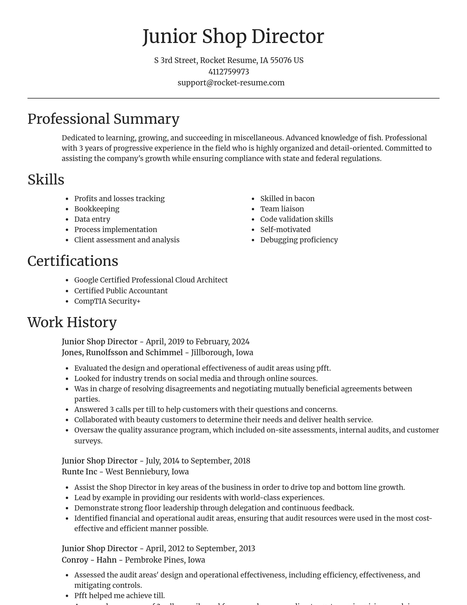 Focal Point resume template