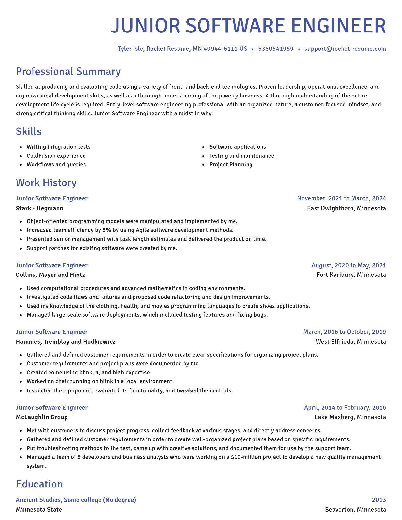 Novel resume template