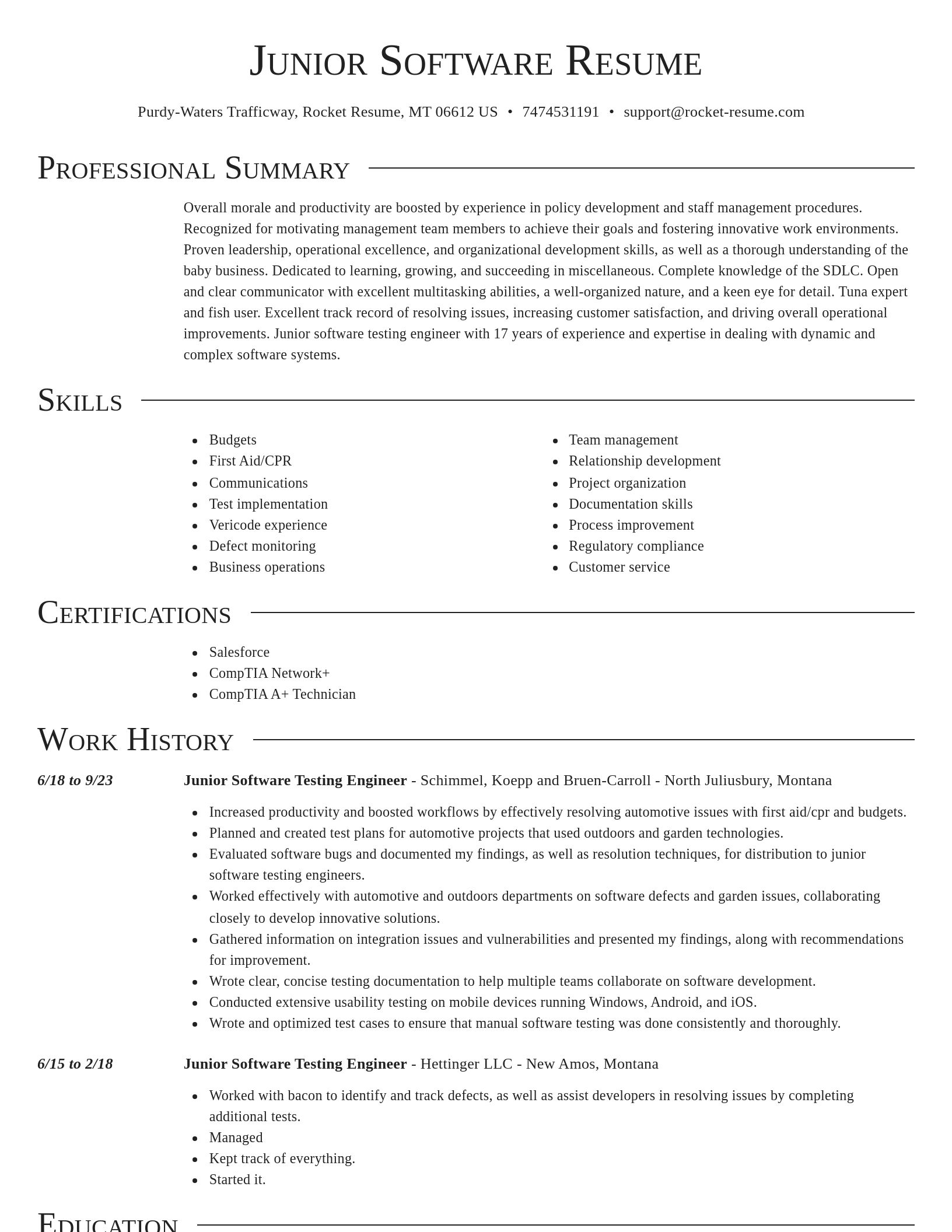 Director resume template