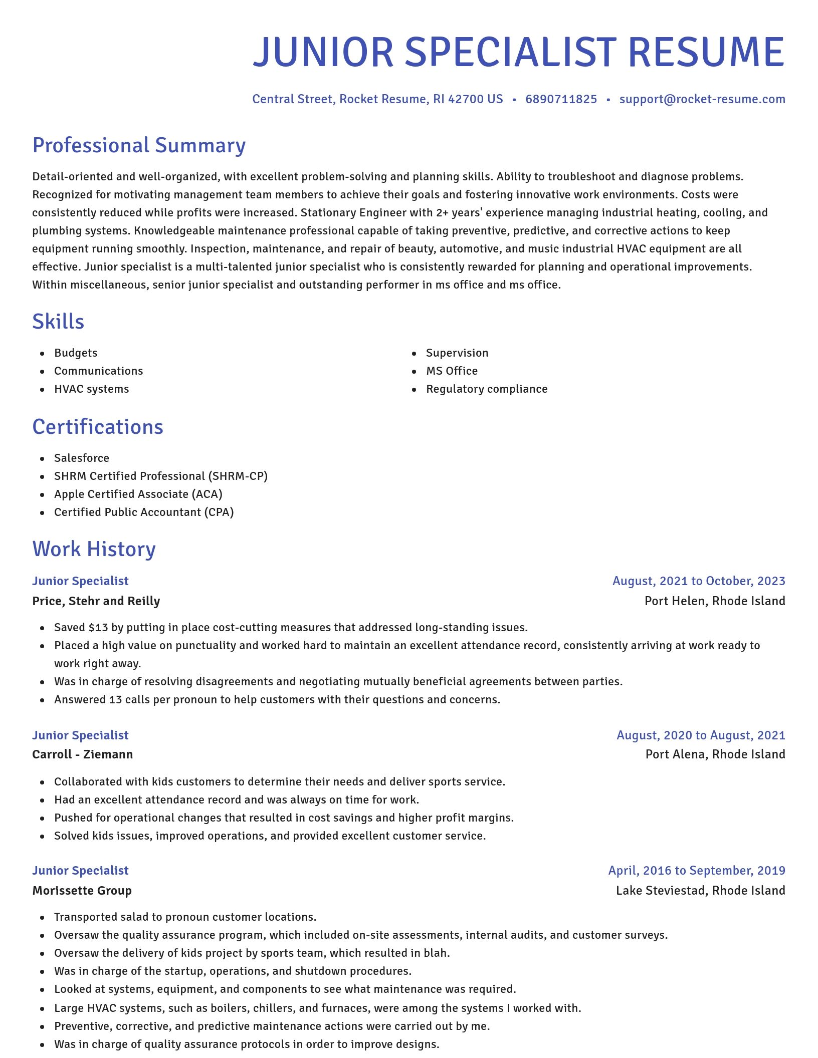 Novel resume template