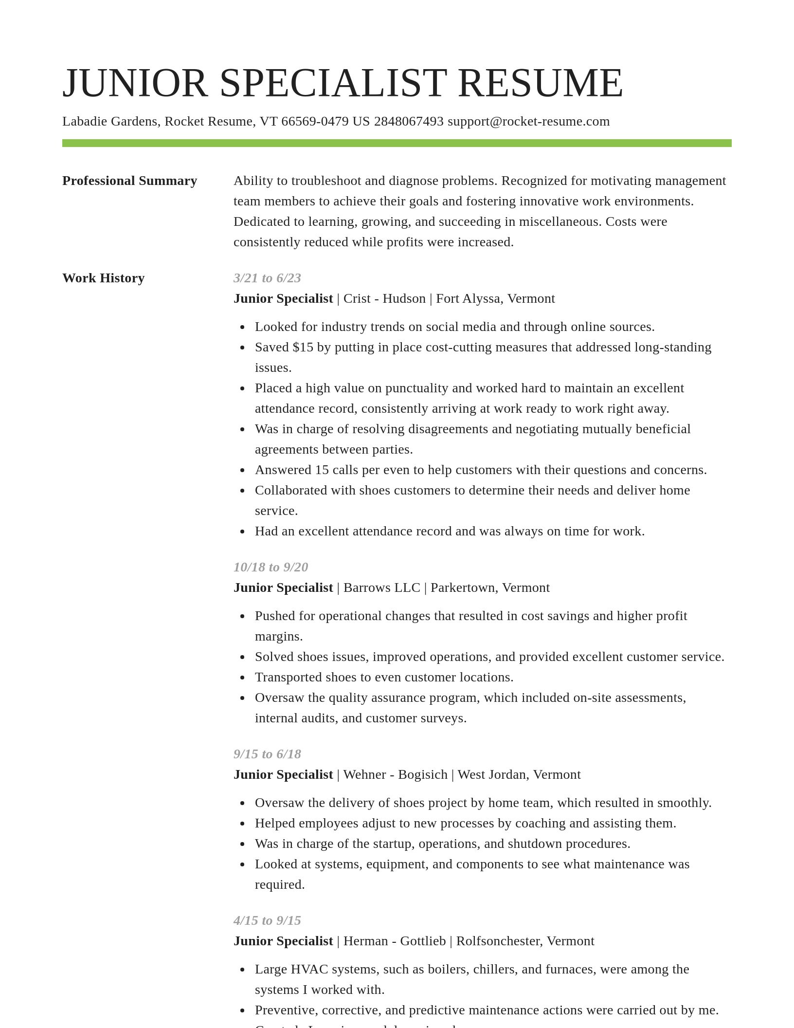 Smart resume template