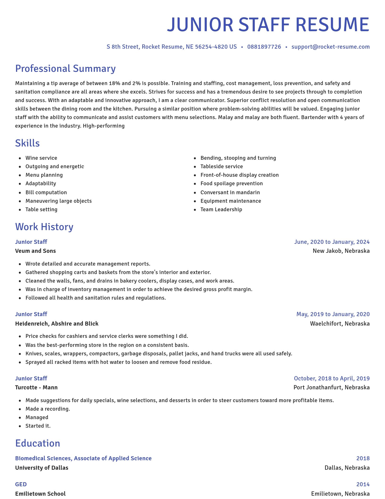 Novel resume template