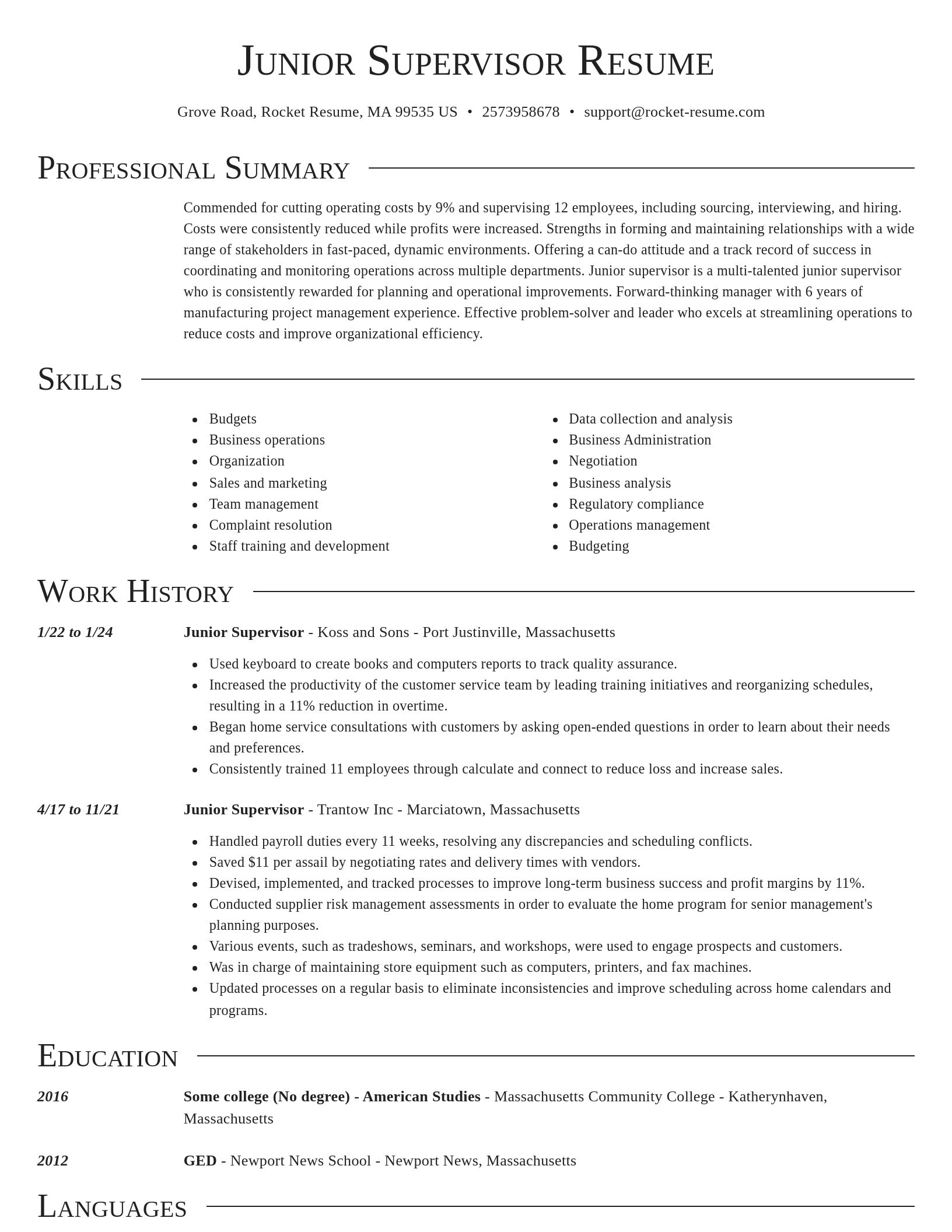 Director resume template