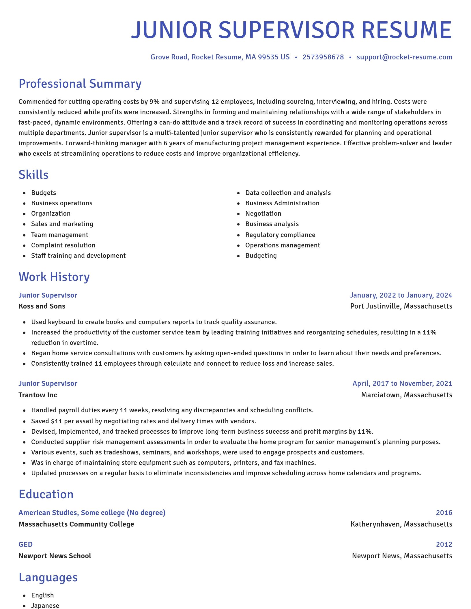 Novel resume template