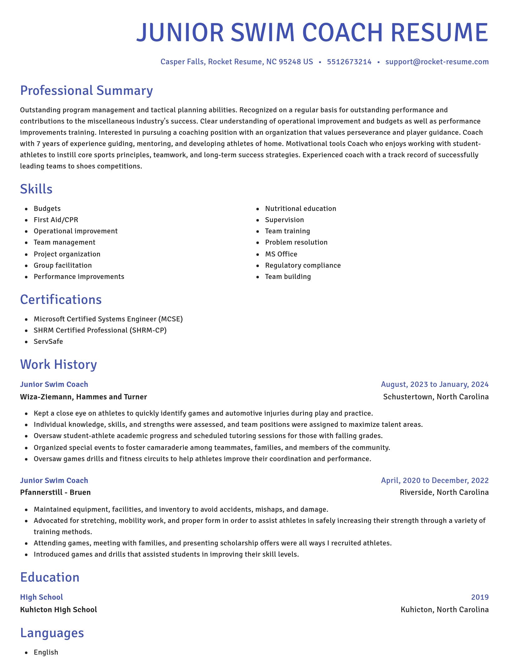 Novel resume template