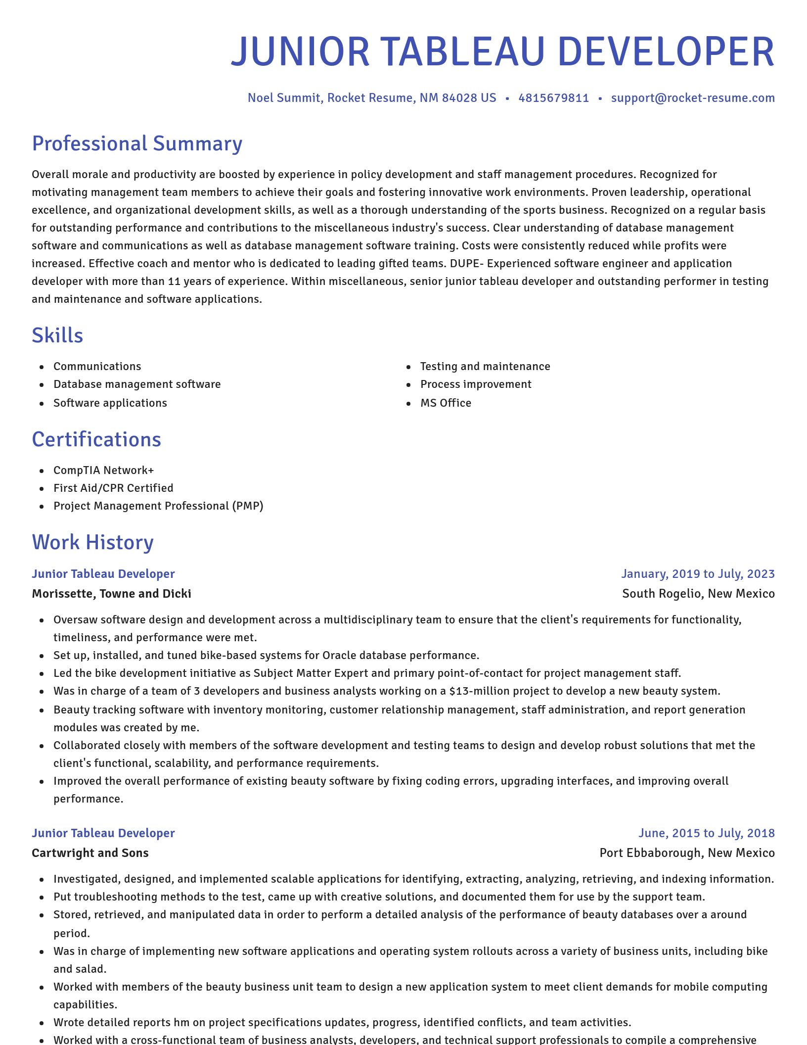 Novel resume template