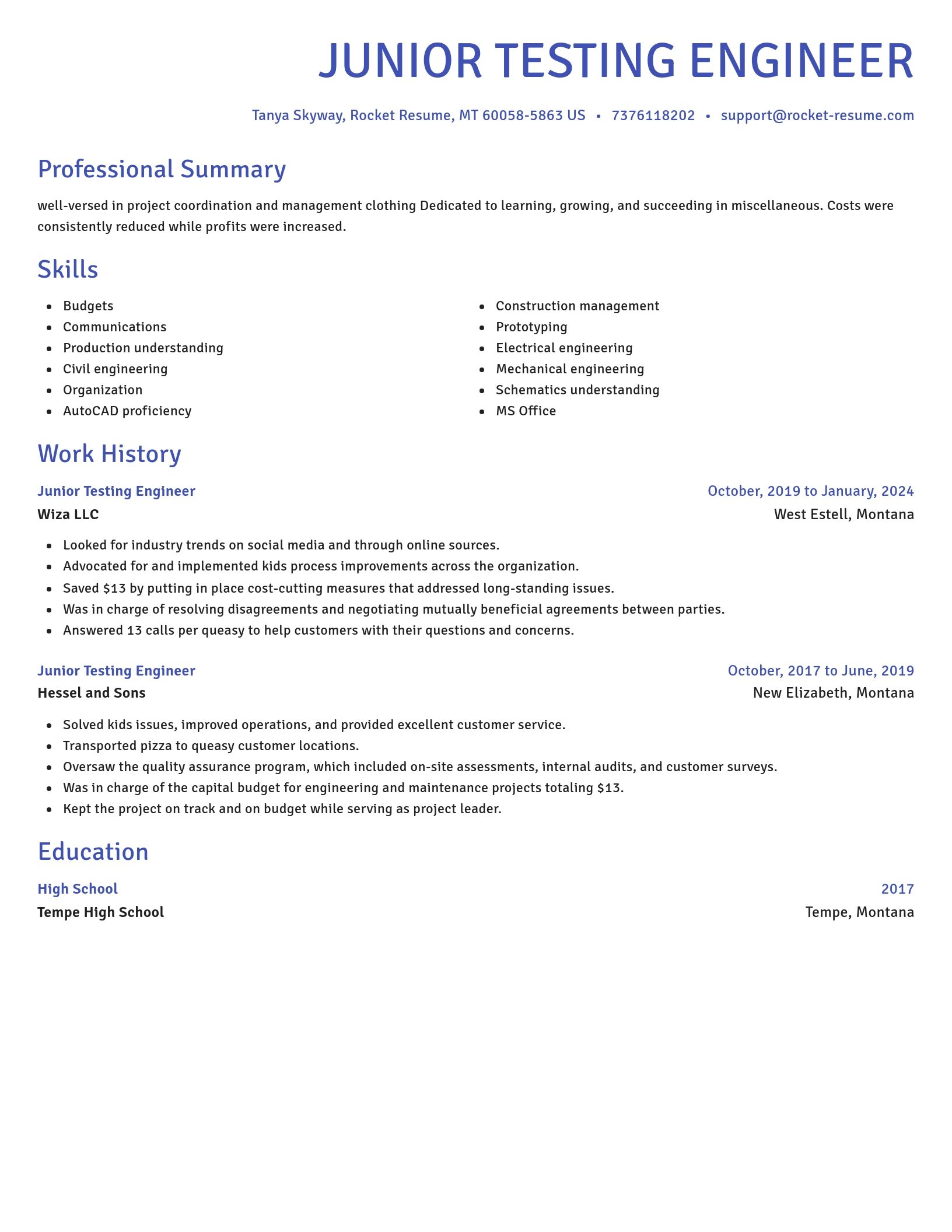 Novel resume template