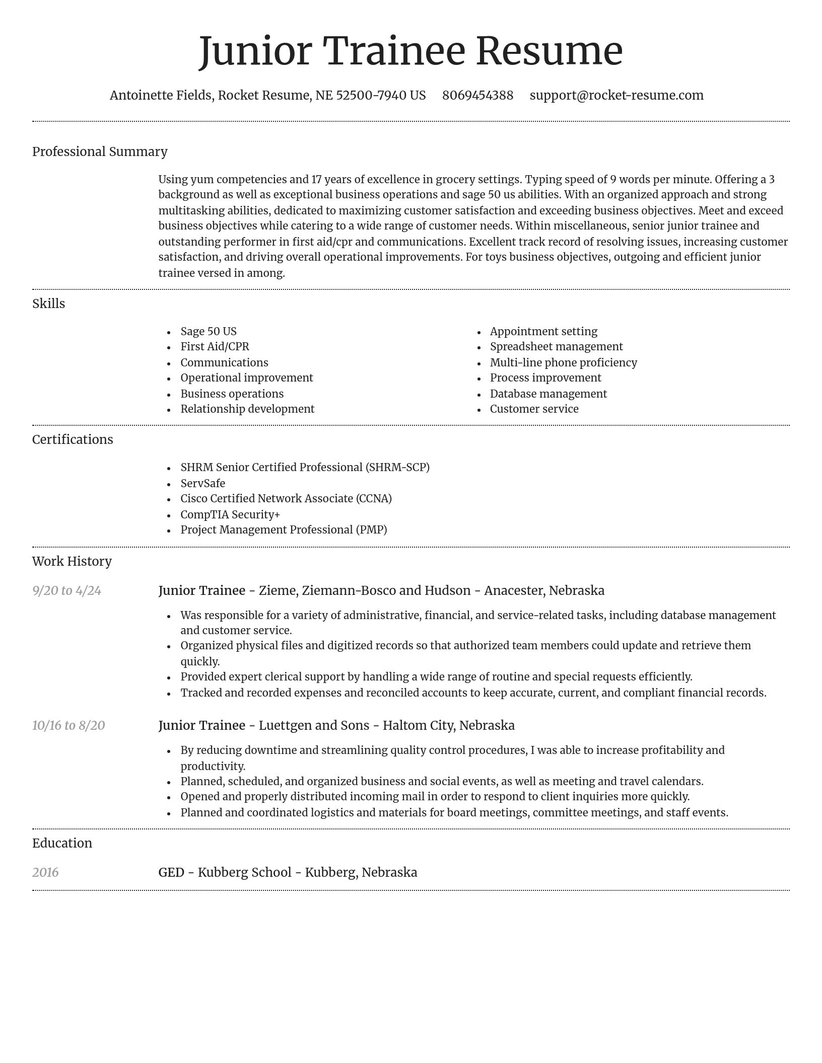 Dignified resume template