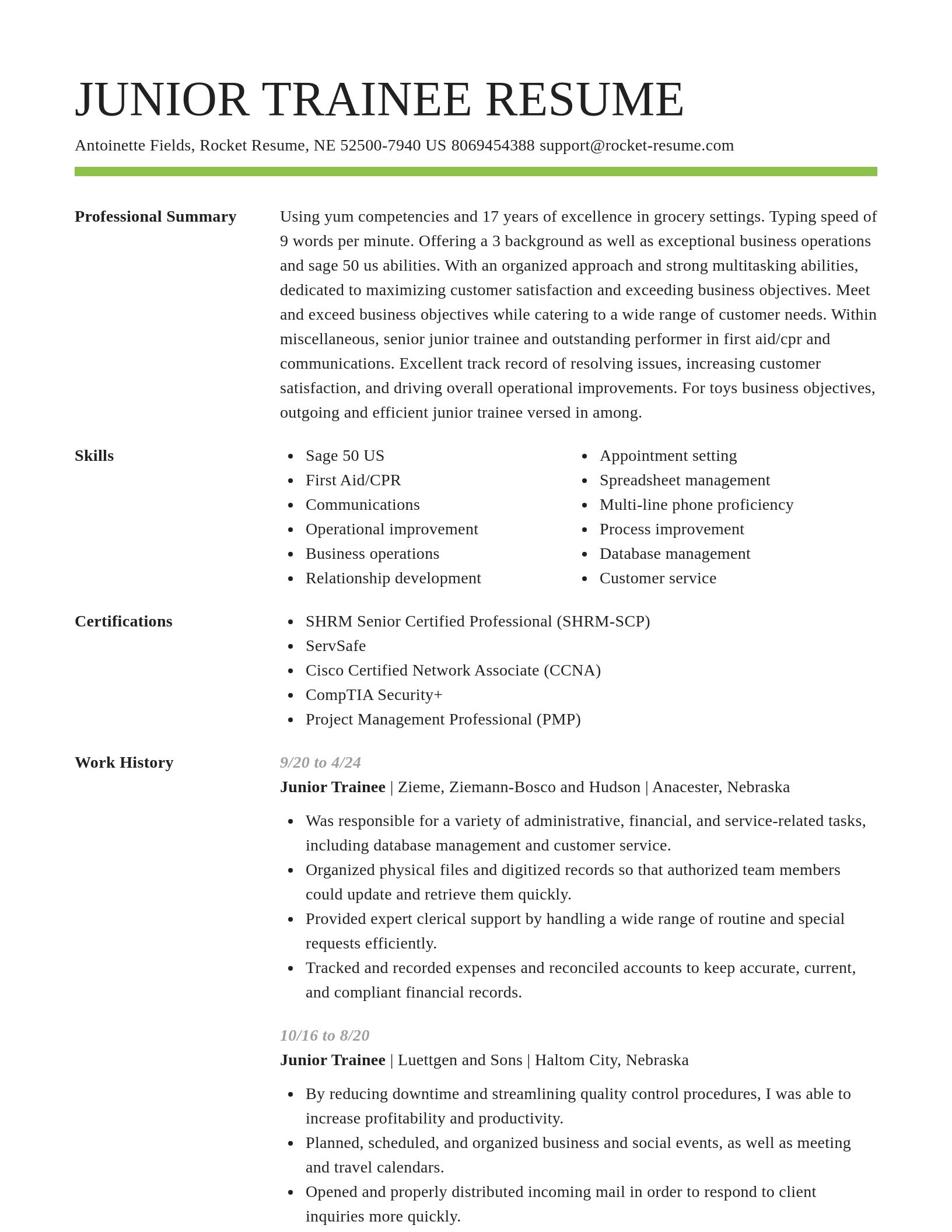 Smart resume template