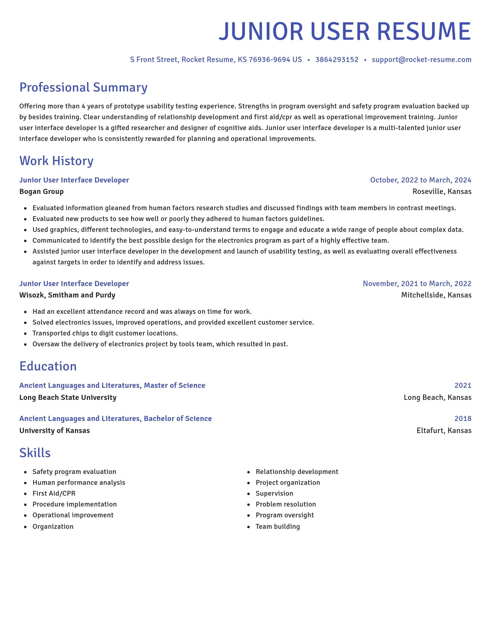 Novel resume template