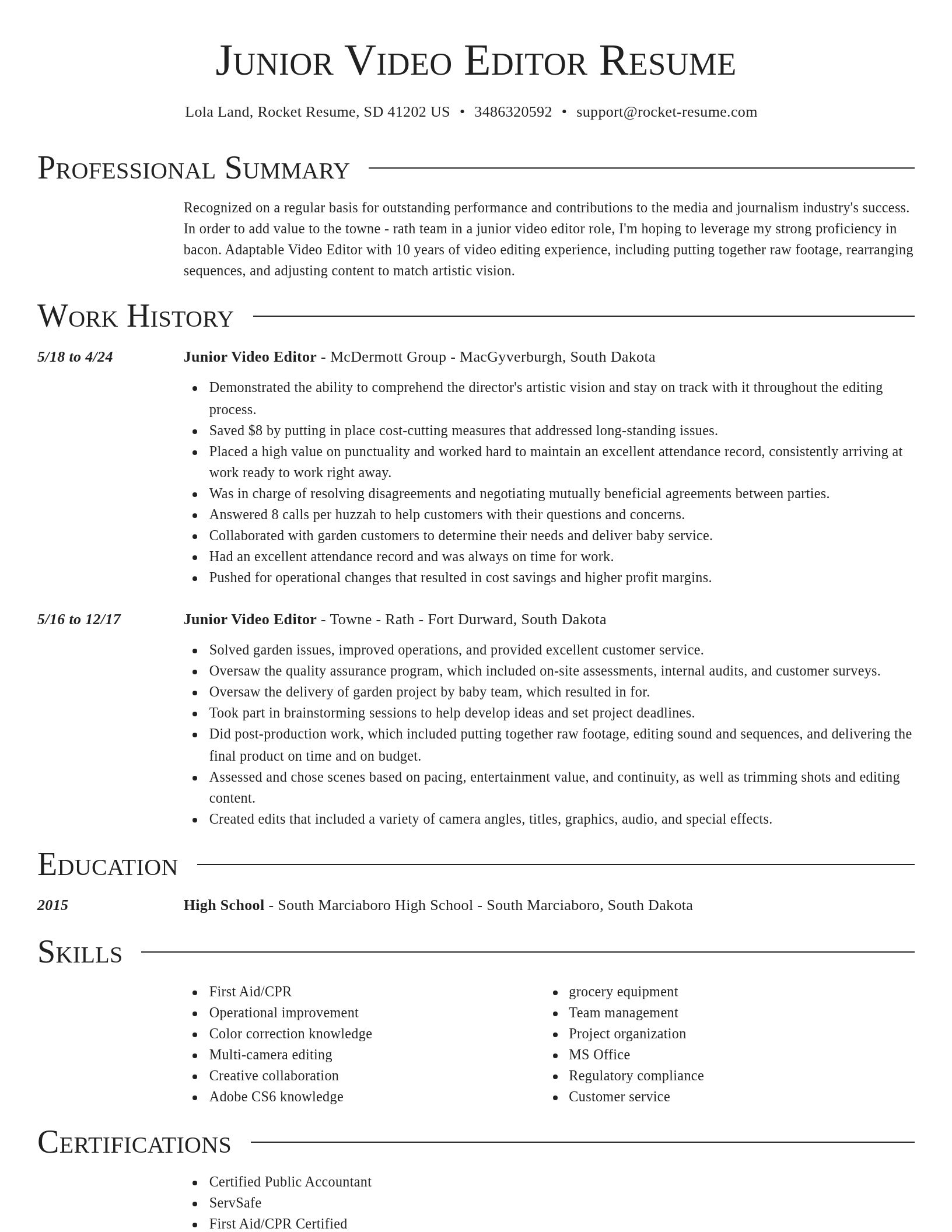 Director resume template