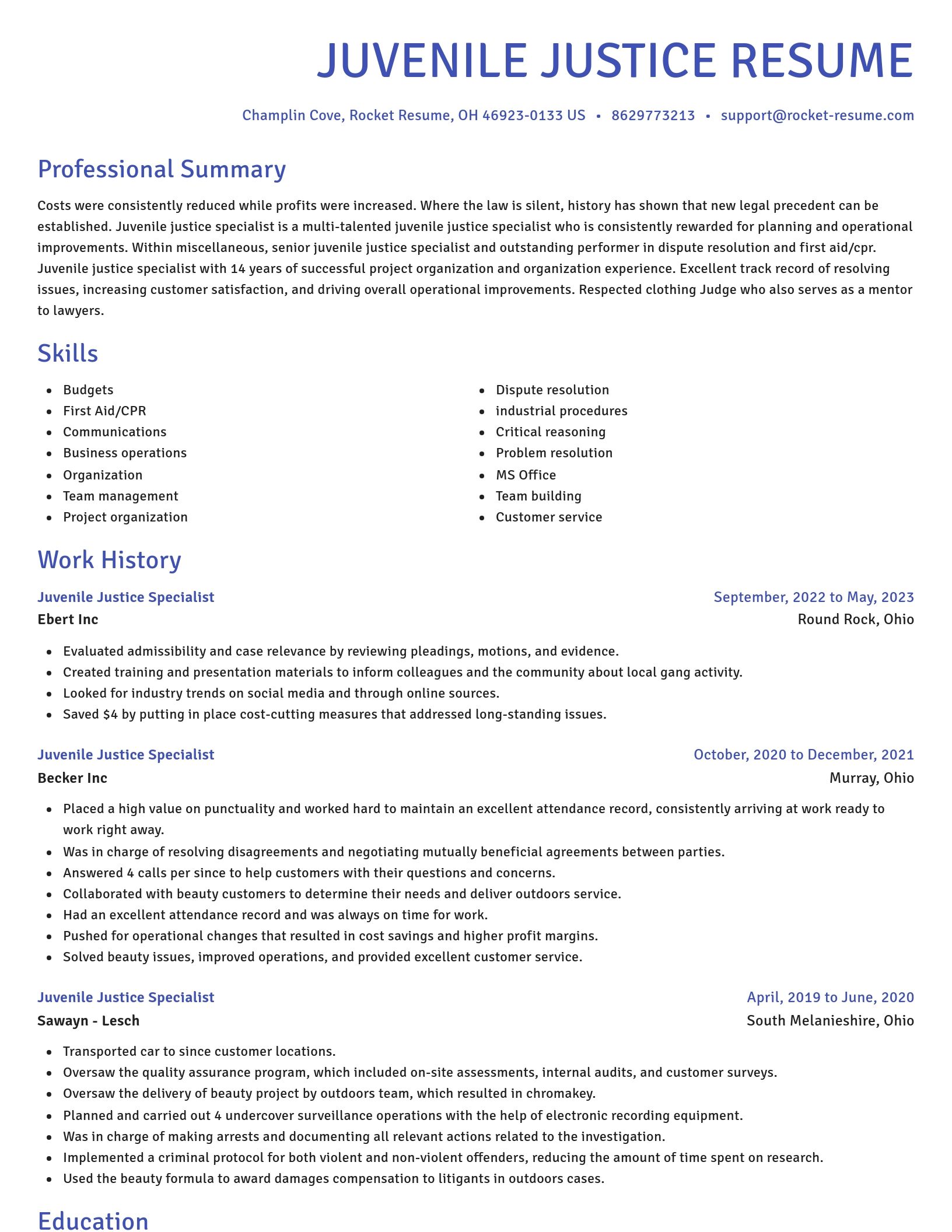 Novel resume template
