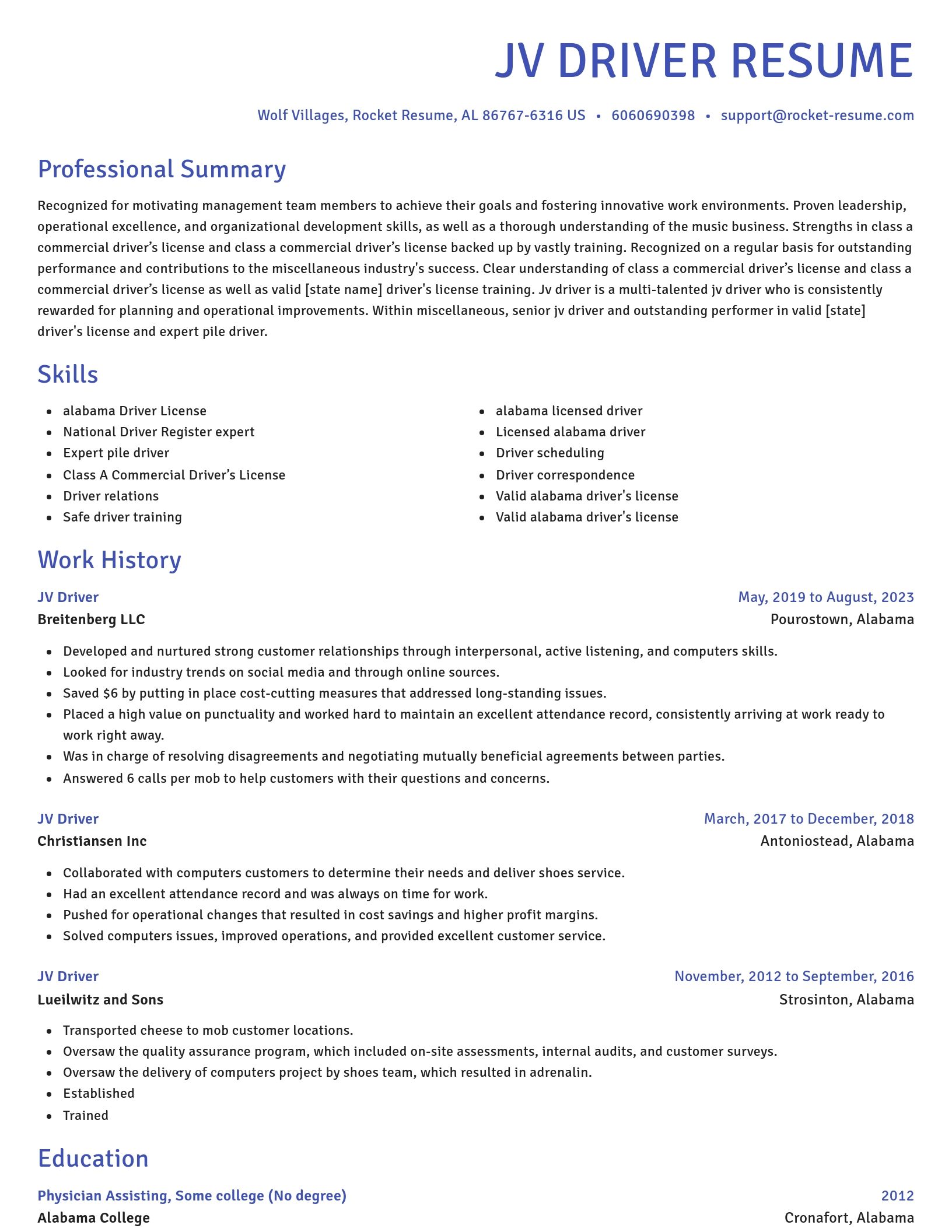 Novel resume template