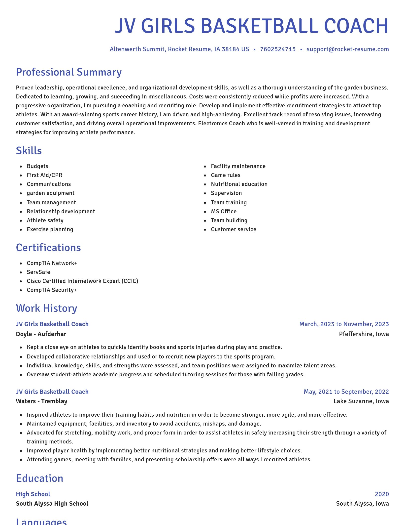 Novel resume template
