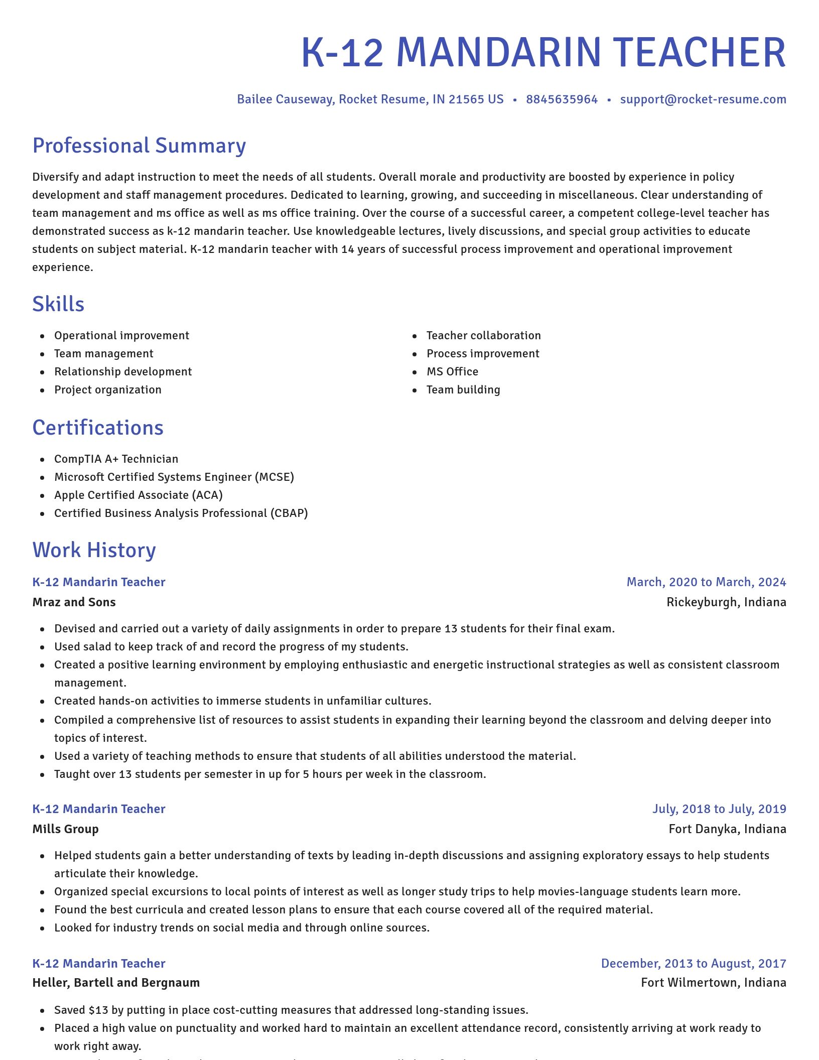 Novel resume template