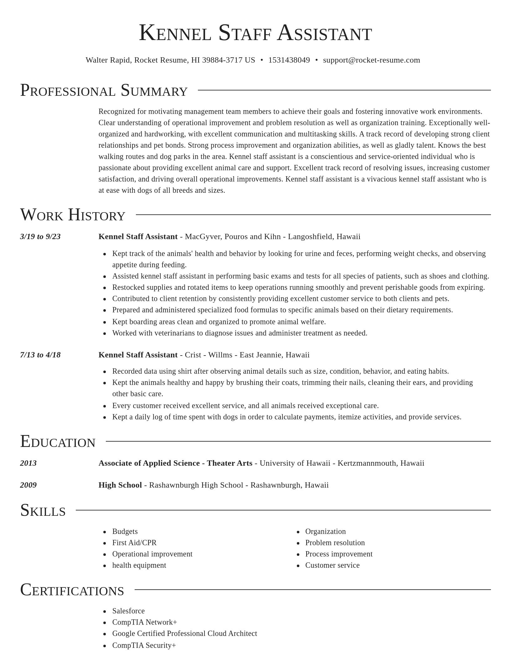 Director resume template