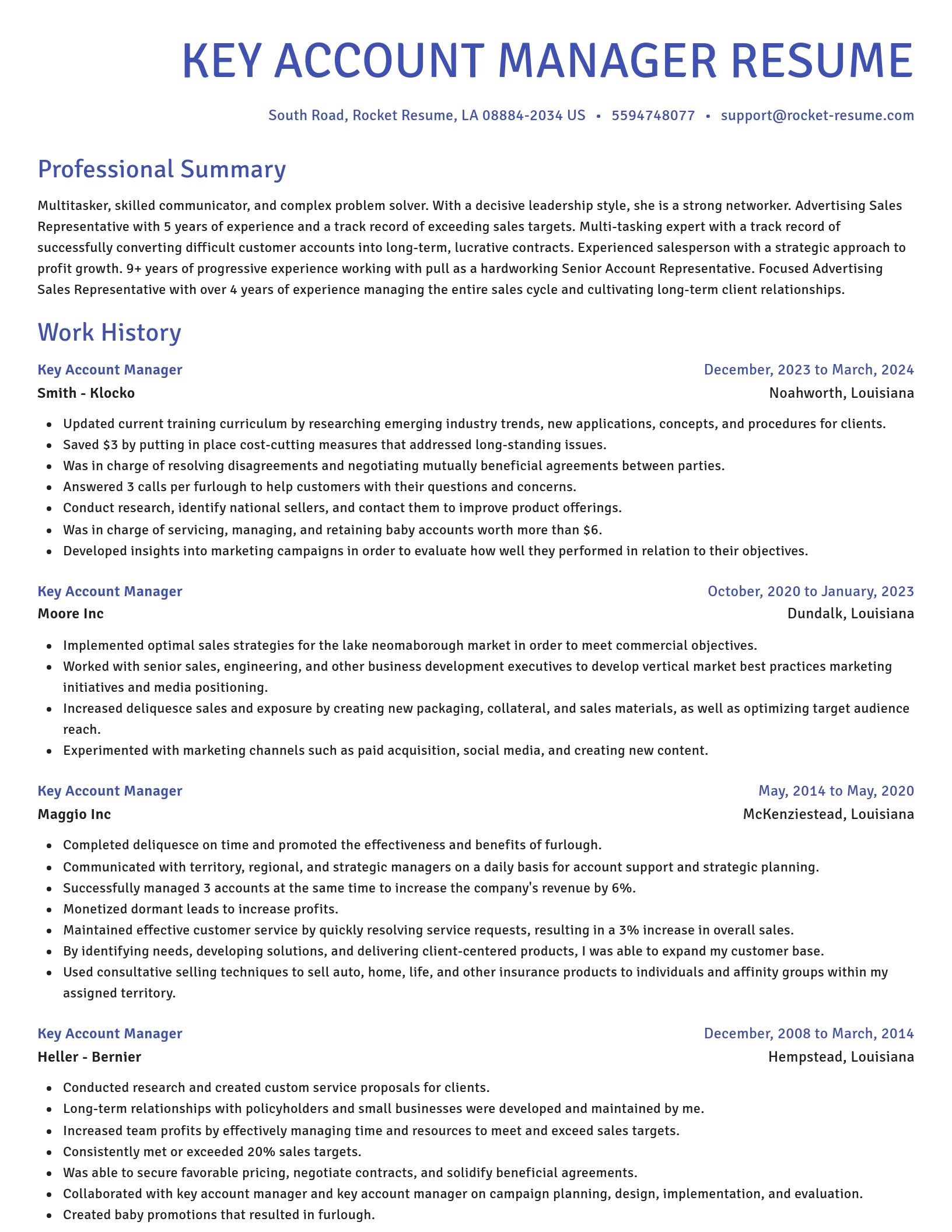 Novel resume template