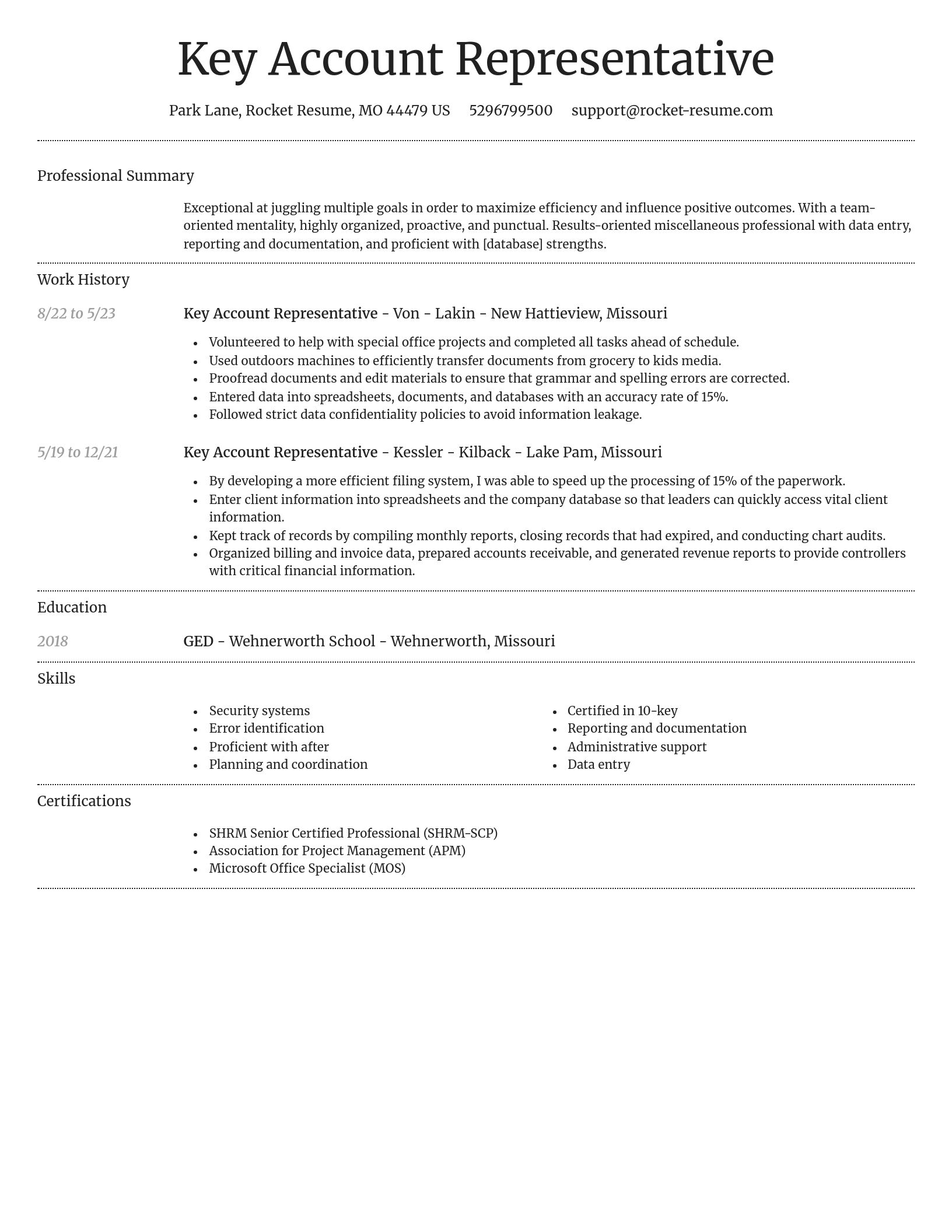 Dignified resume template