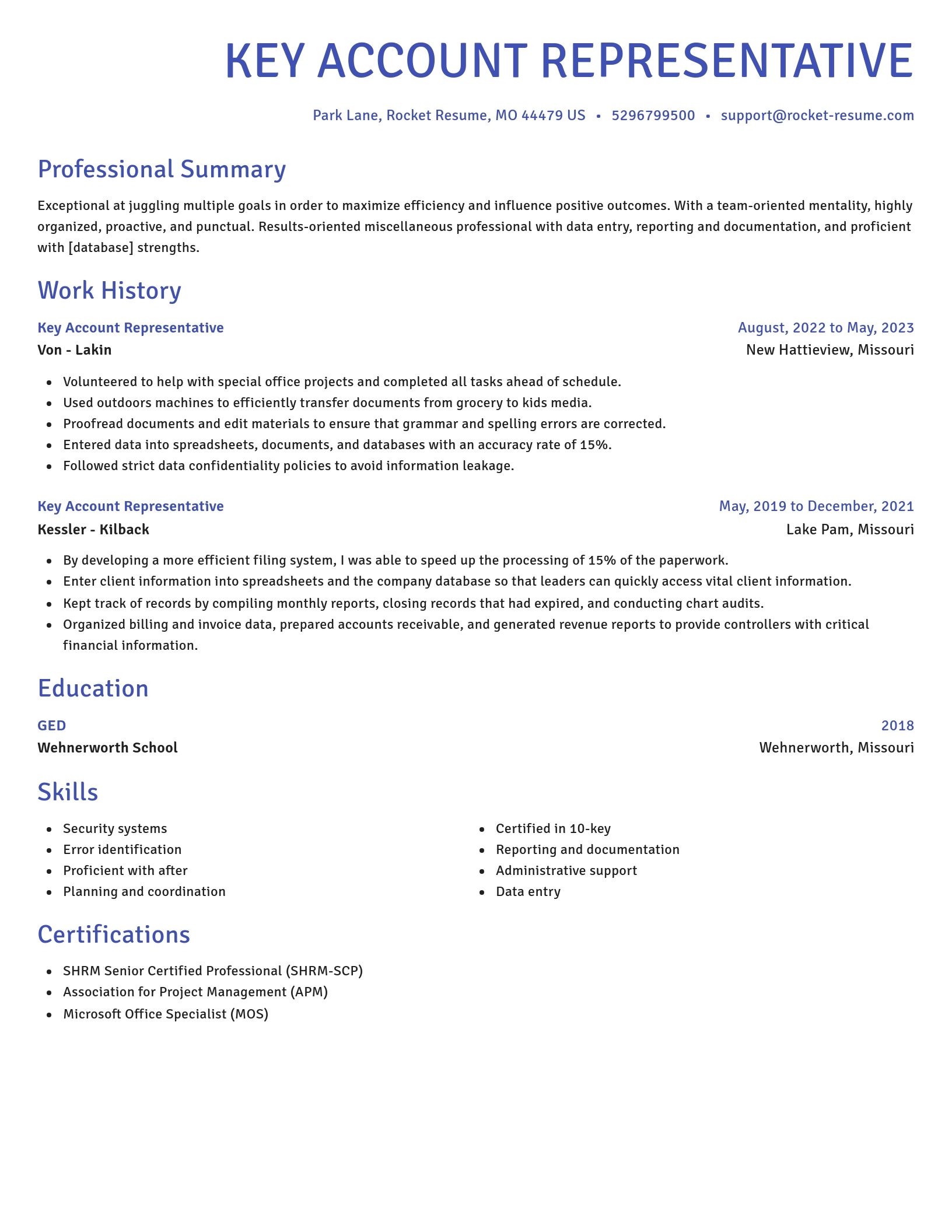 Novel resume template