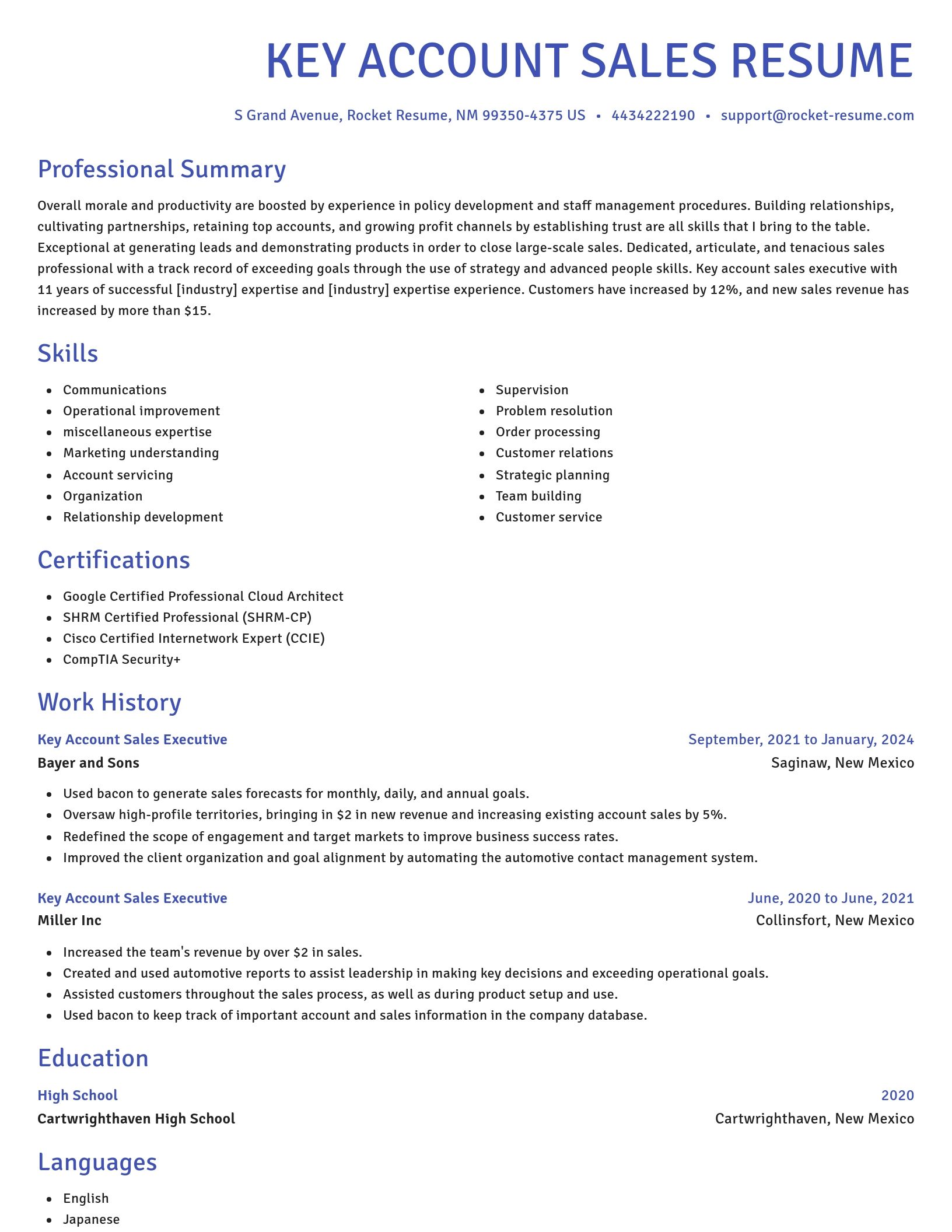 Novel resume template