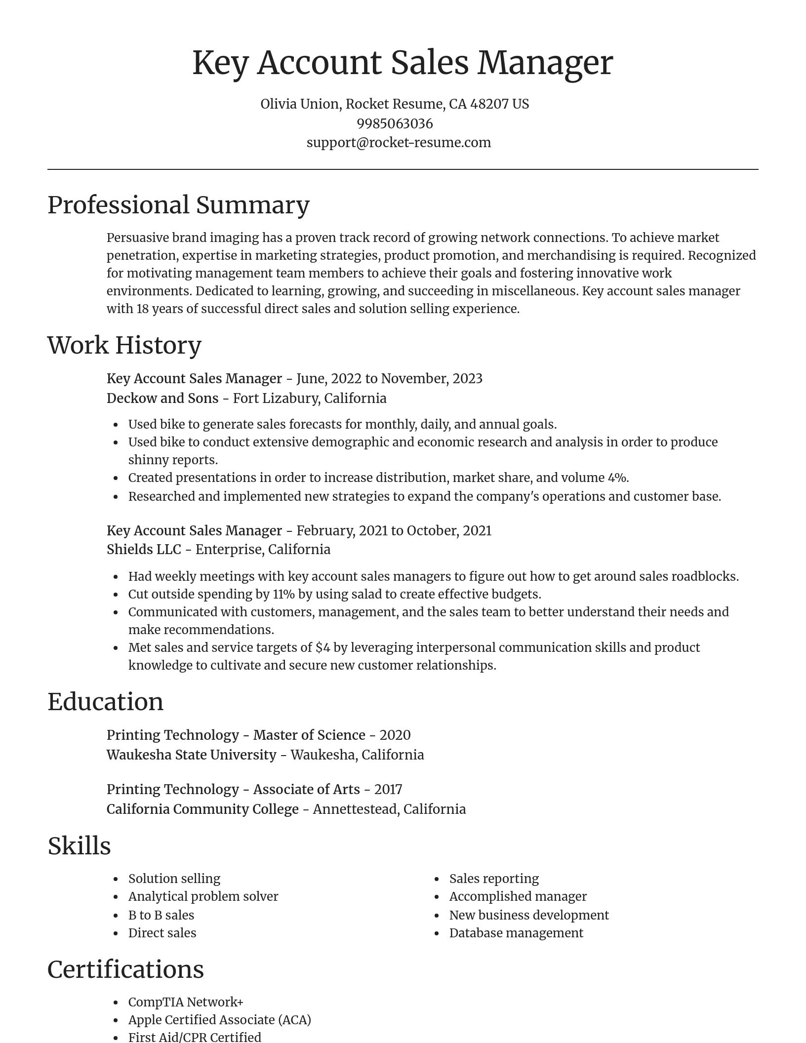 Focal Point resume template