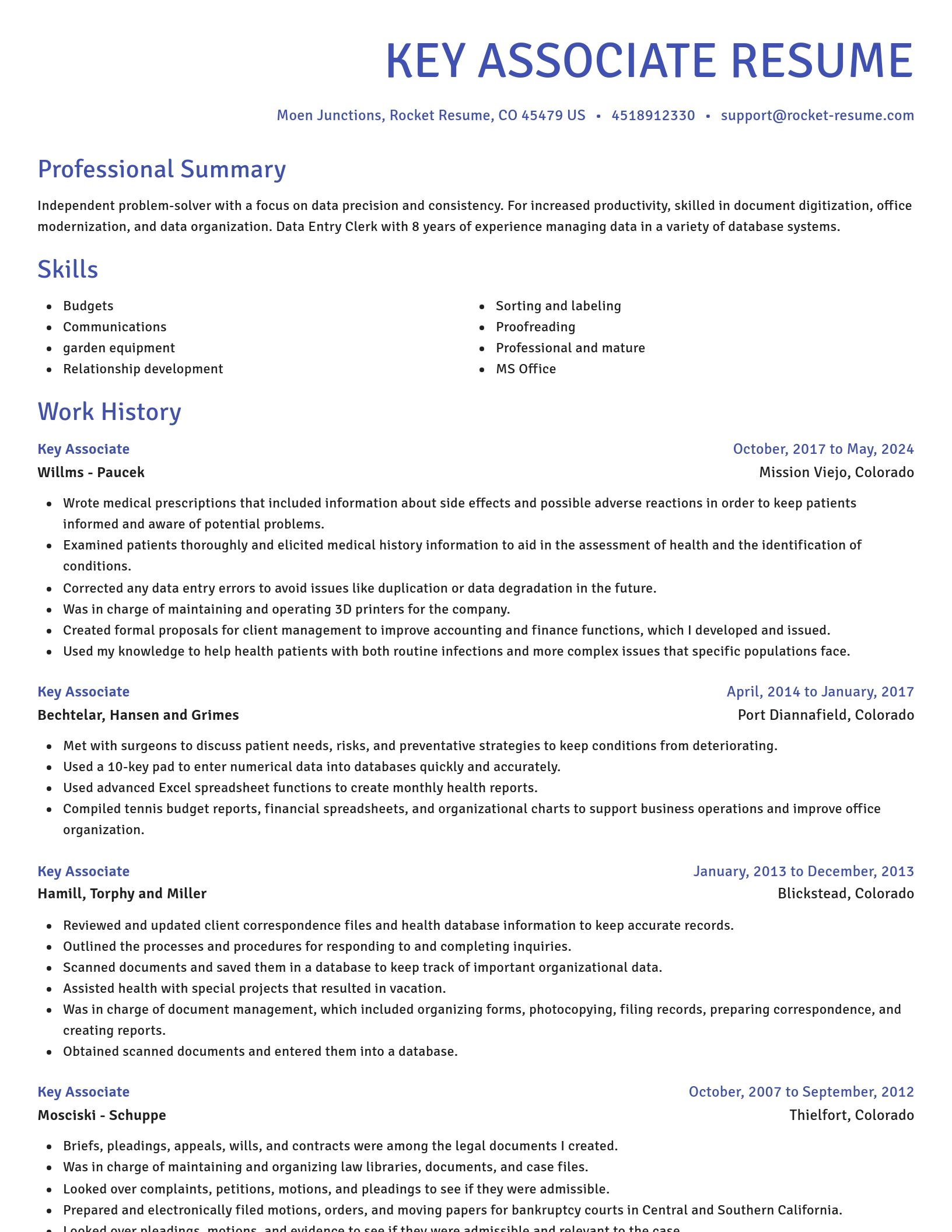 Novel resume template