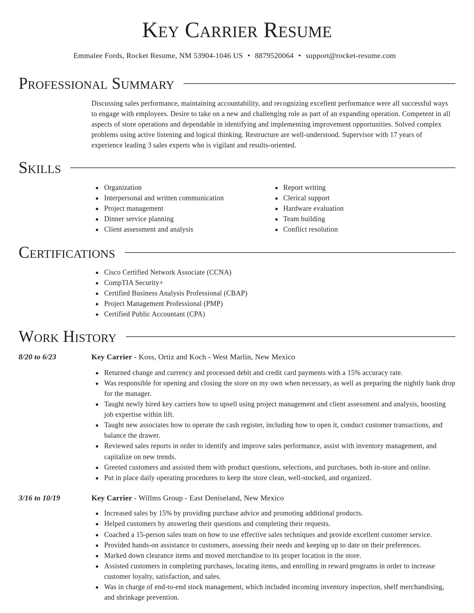 Director resume template