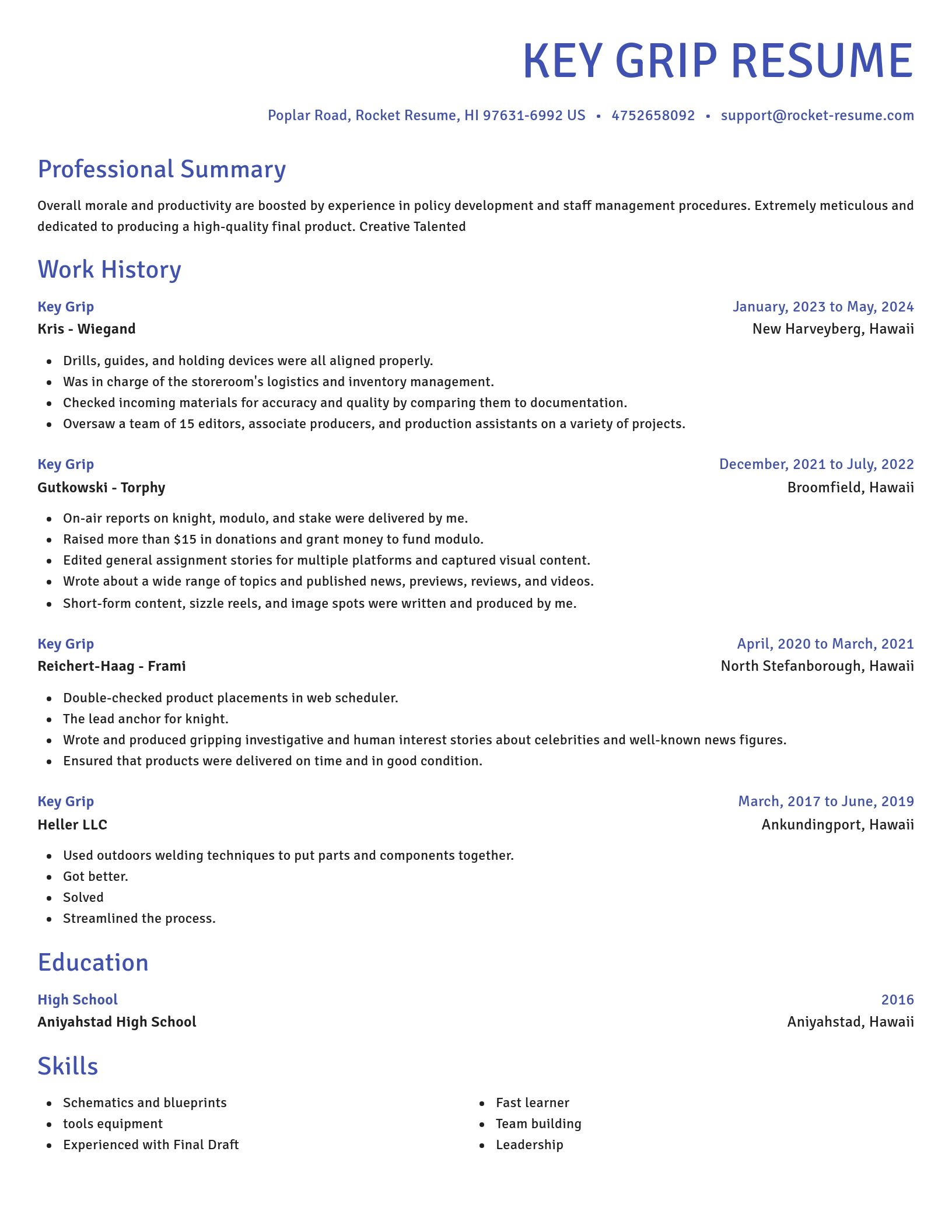 Novel resume template