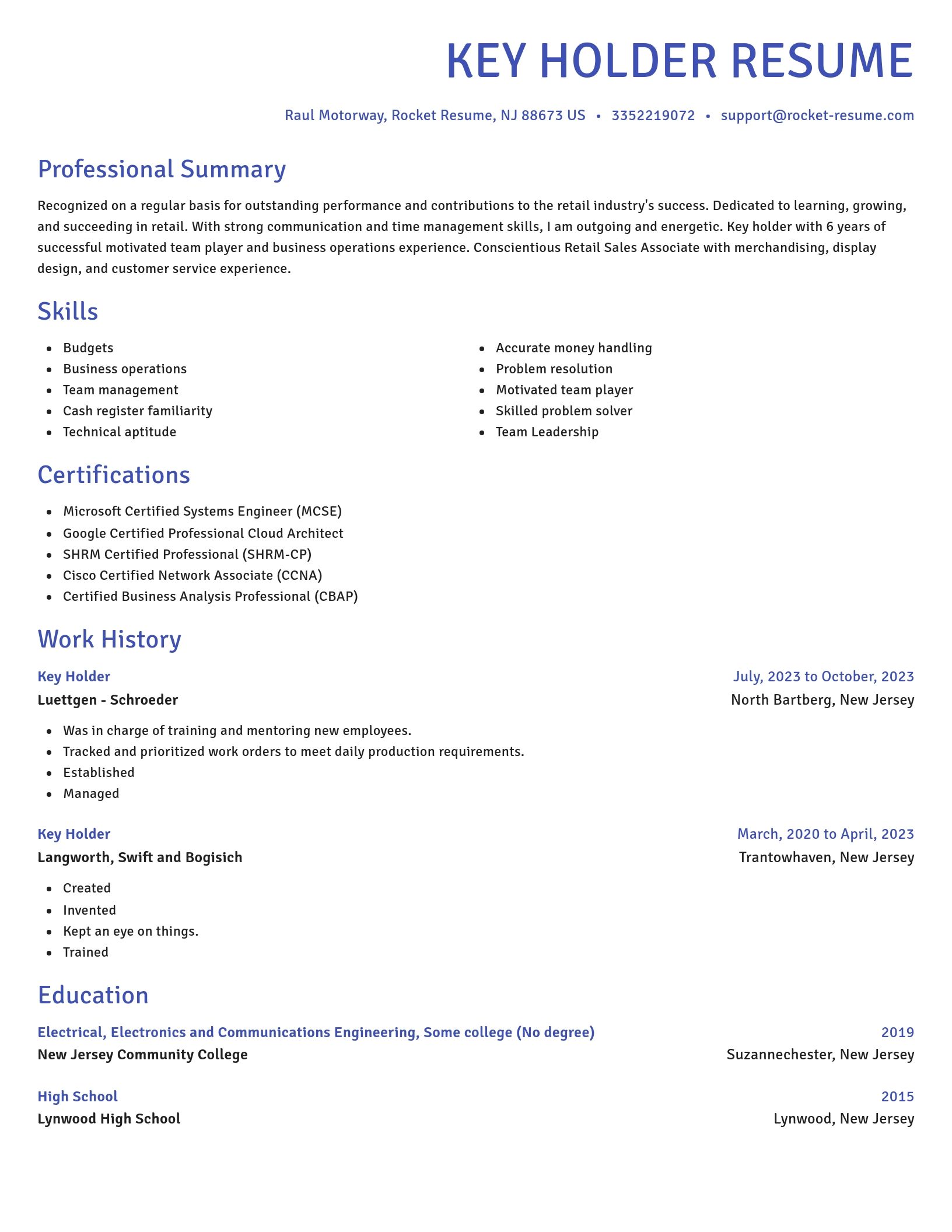 Novel resume template