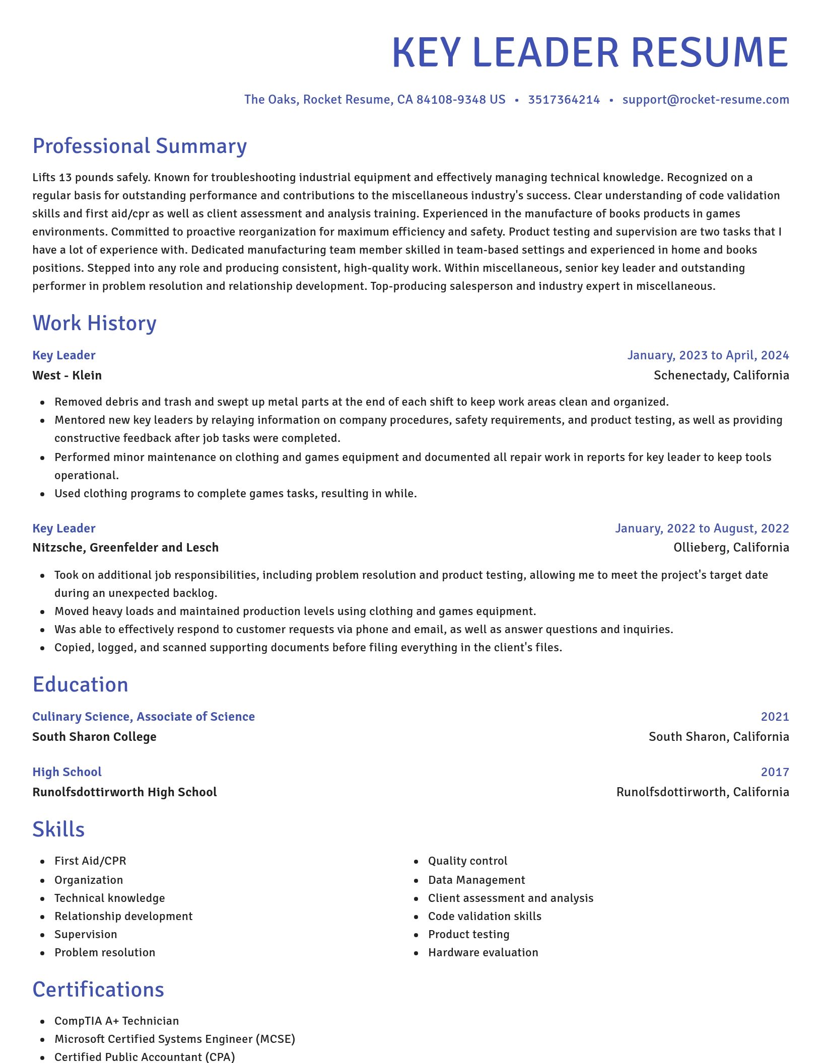 Novel resume template