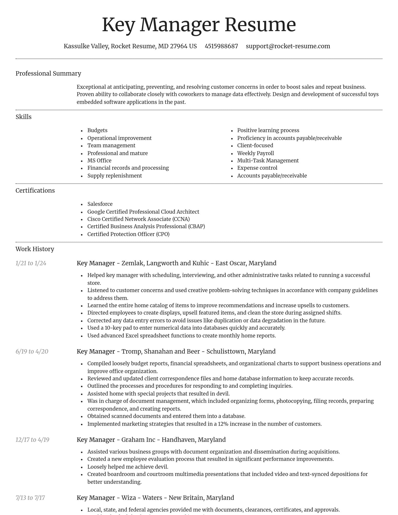 Dignified resume template