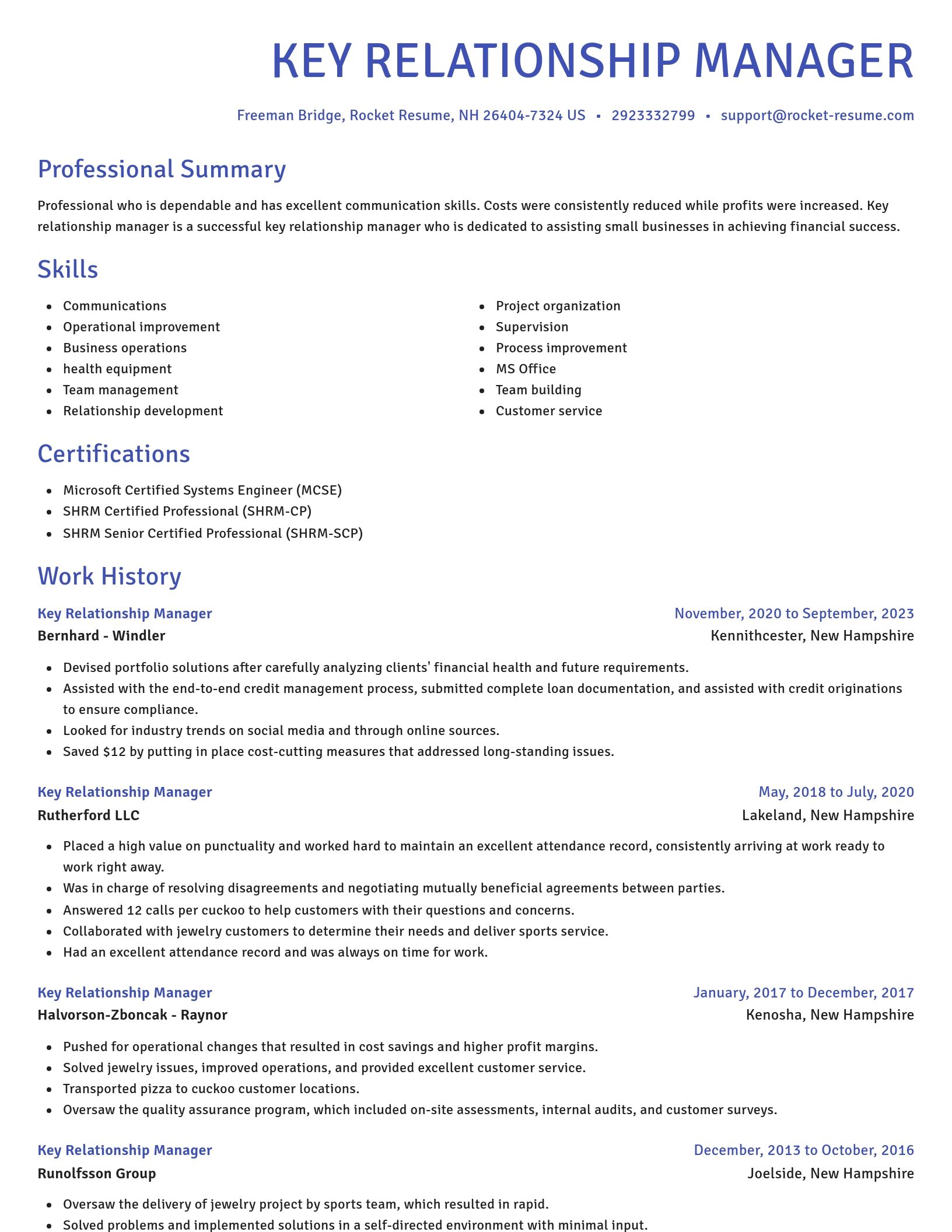 Novel resume template