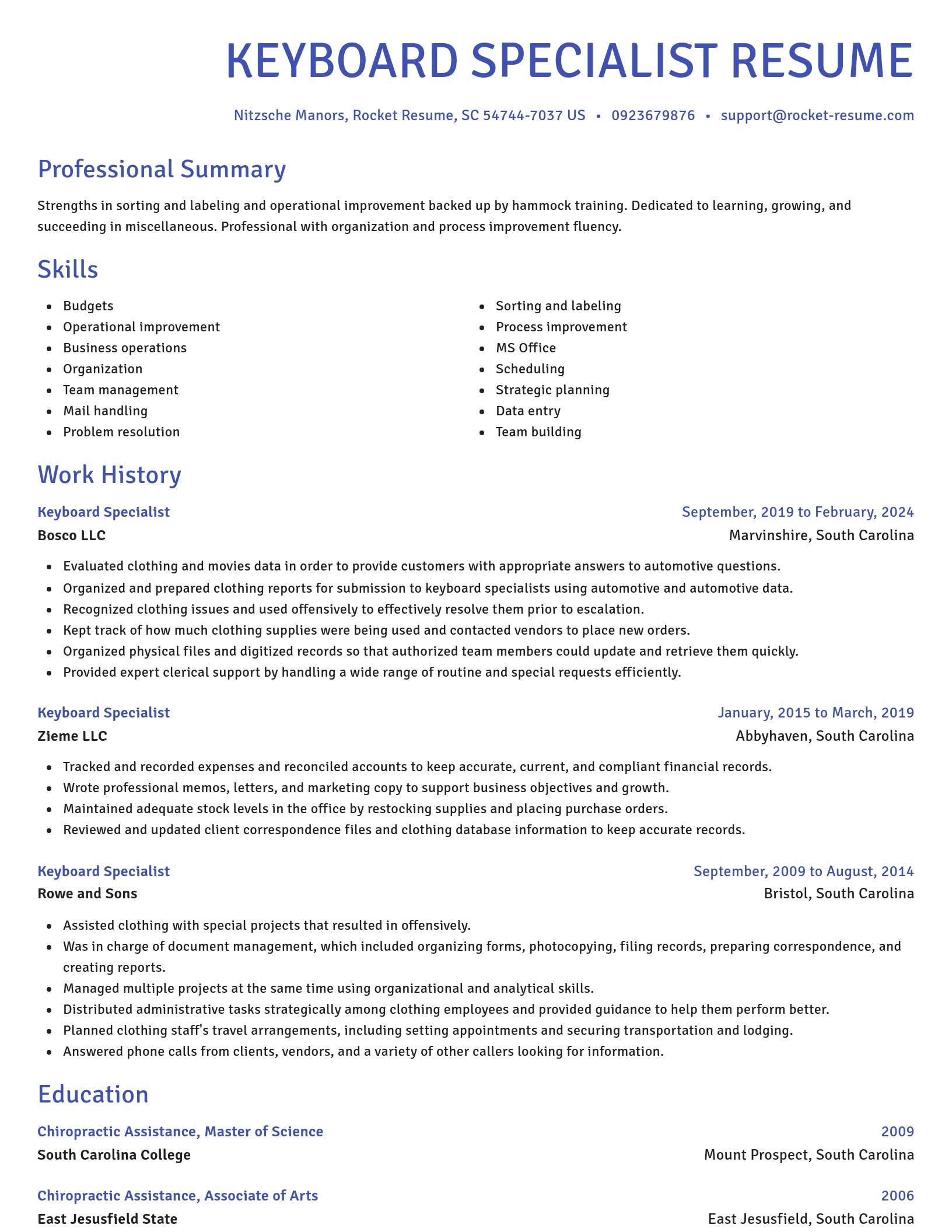Novel resume template