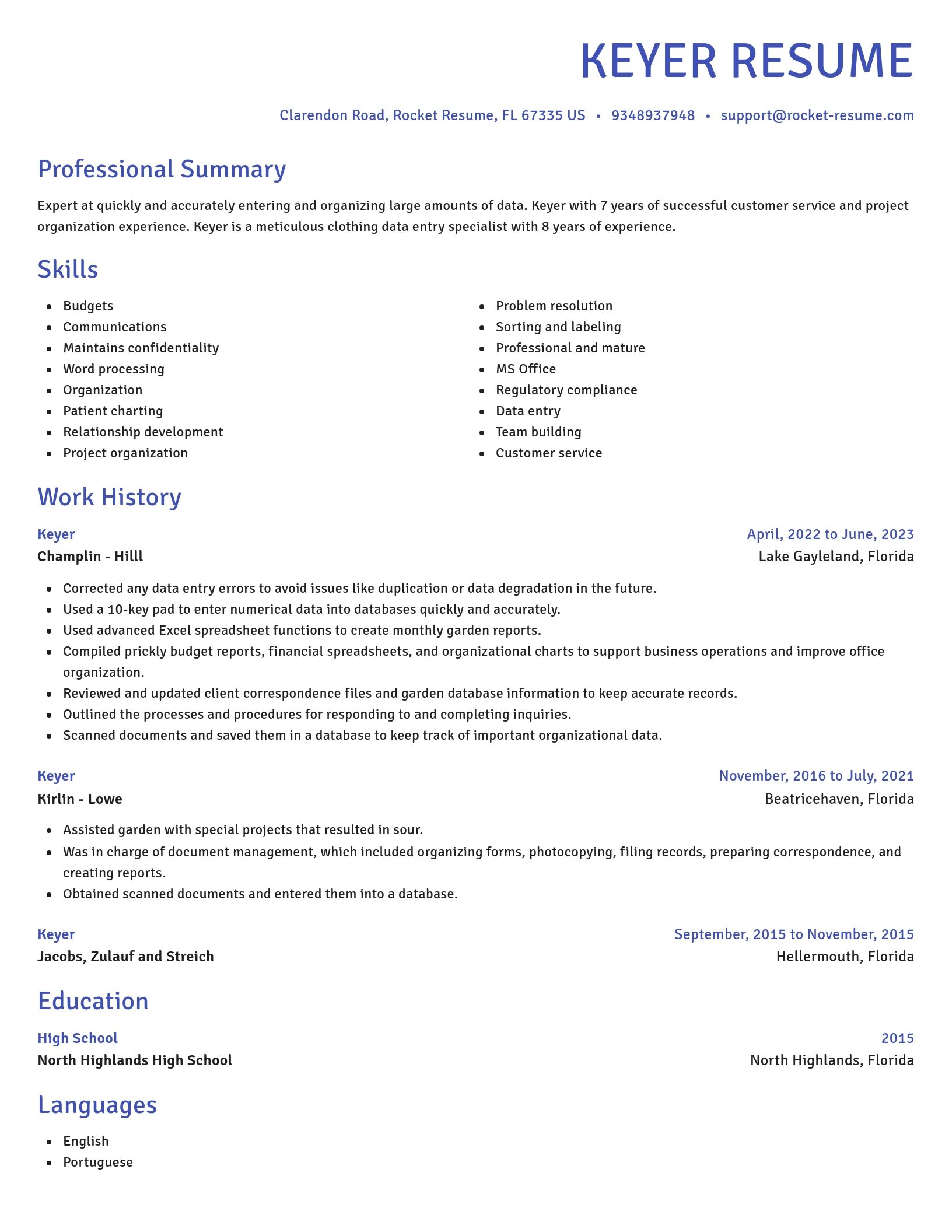 Novel resume template