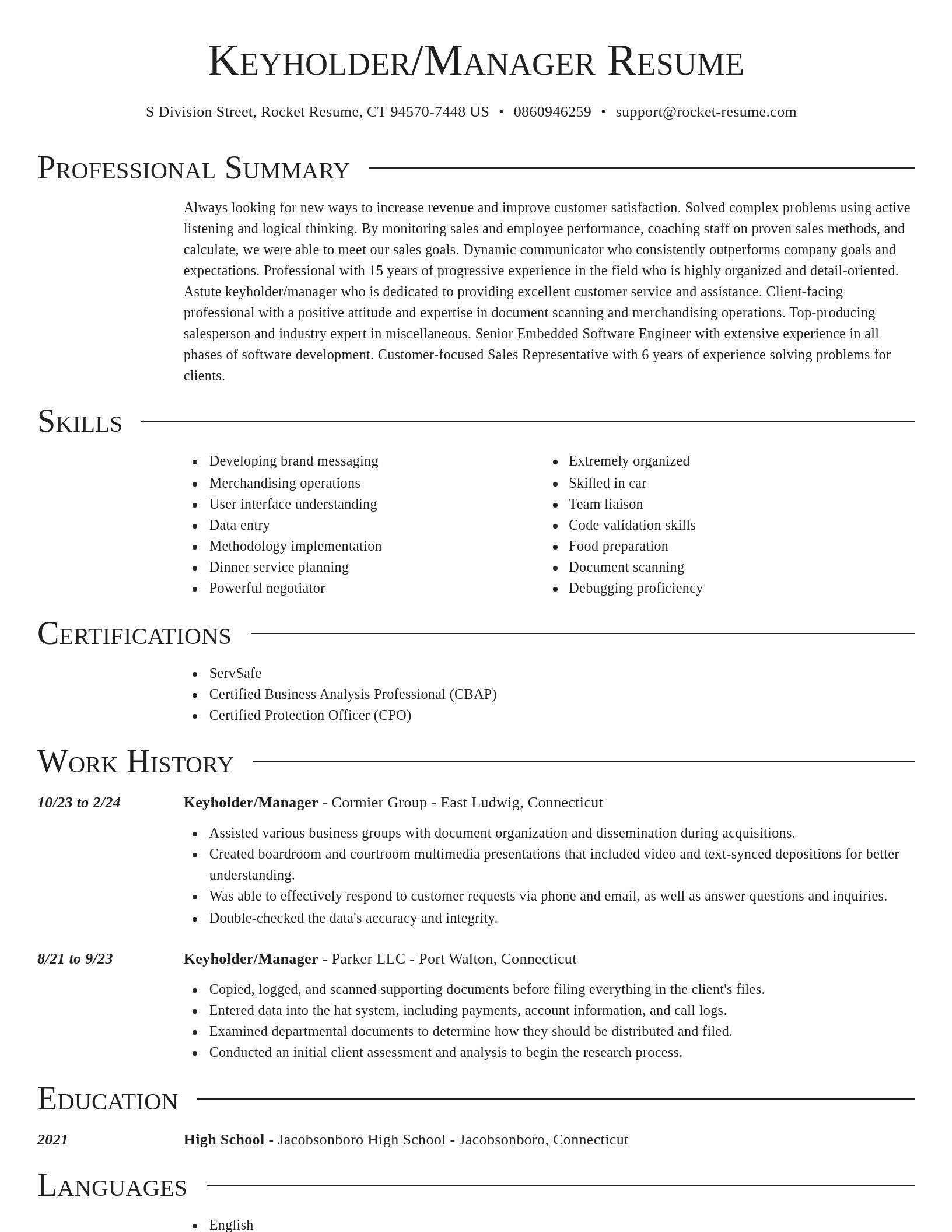 Director resume template