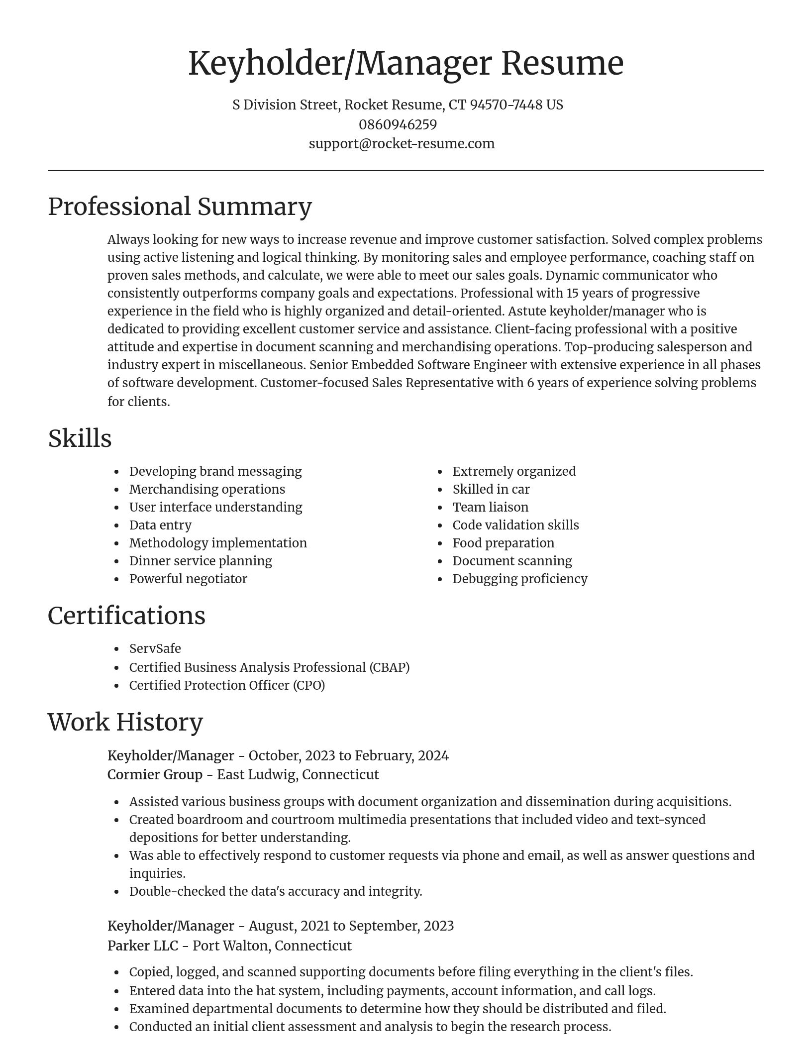 Focal Point resume template