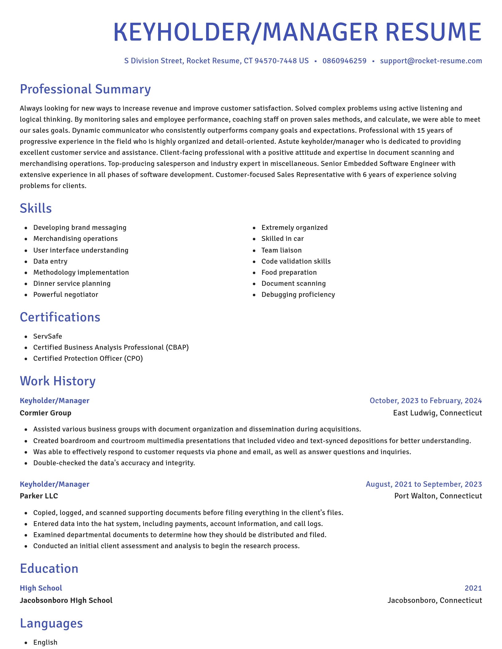 Novel resume template