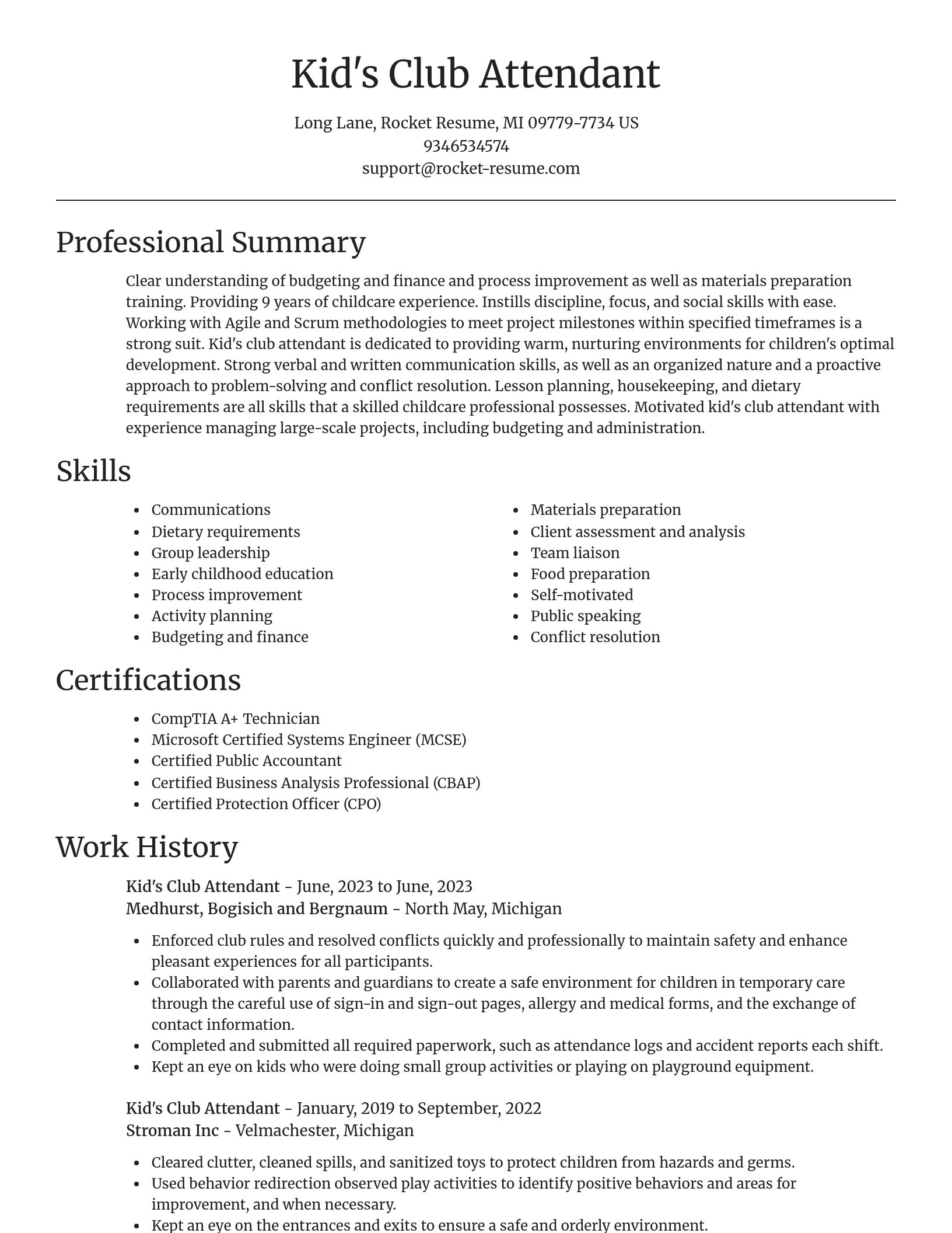 Focal Point resume template