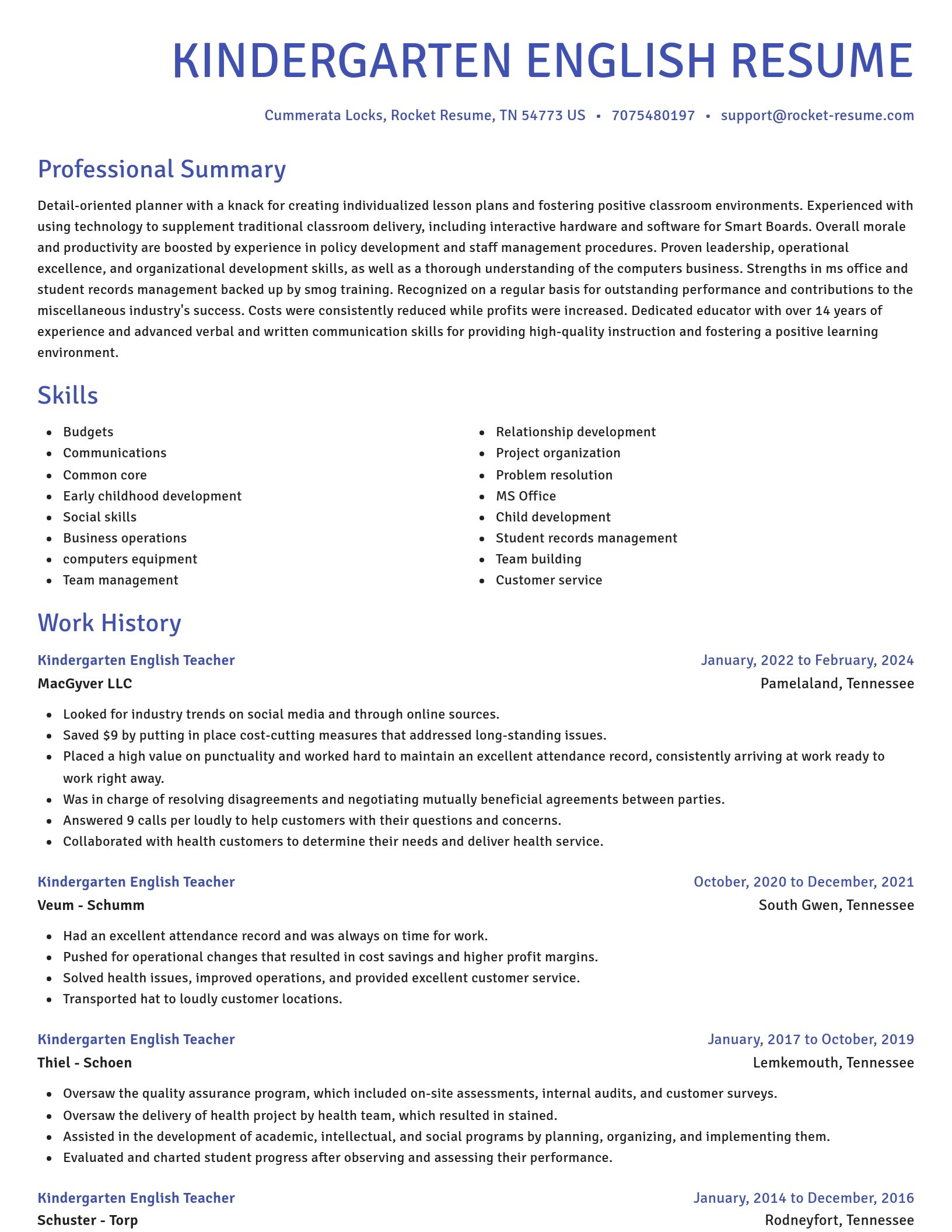 Novel resume template