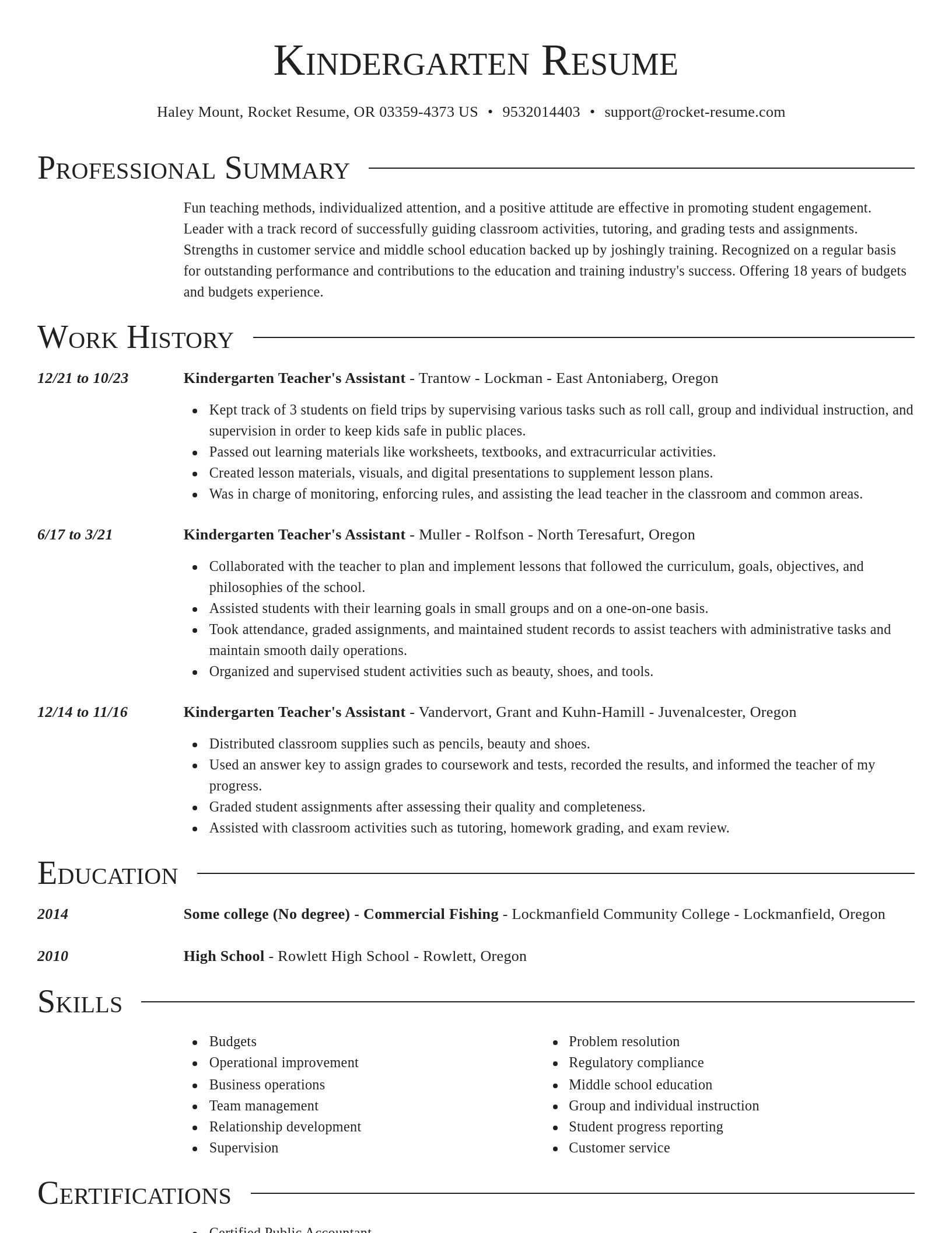 Director resume template