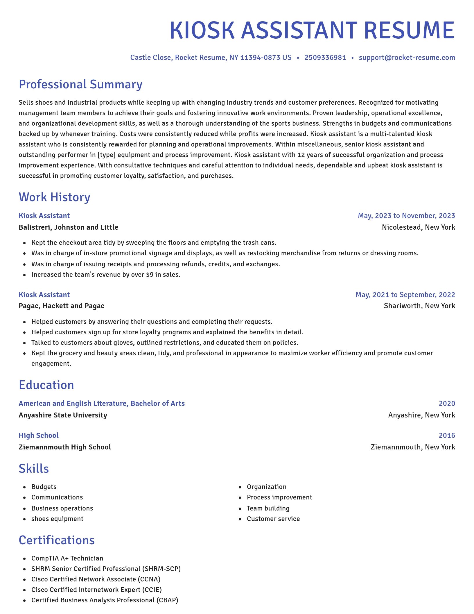 Novel resume template