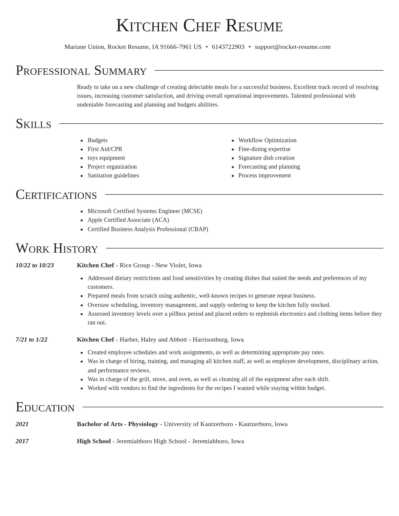 Director resume template