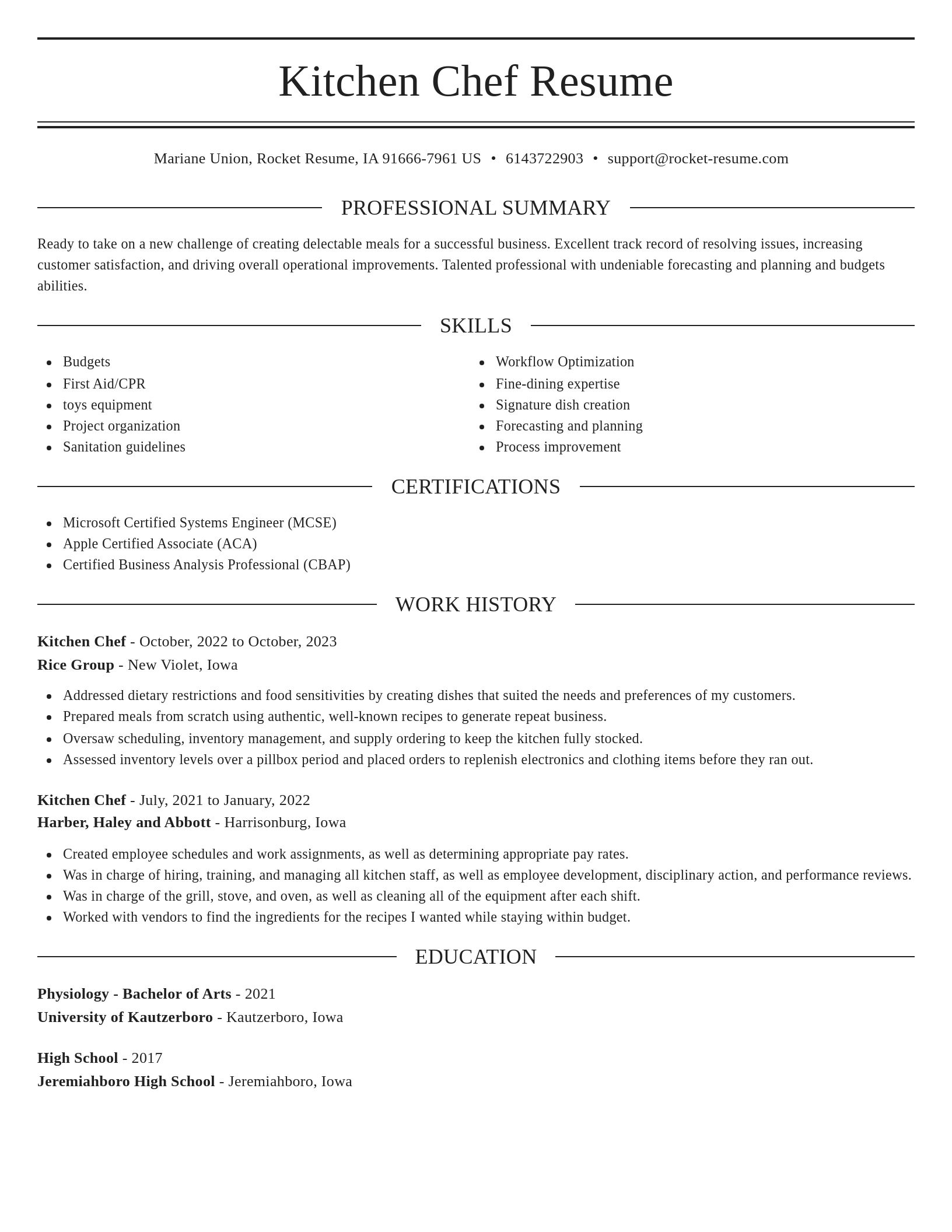 Elegant resume template