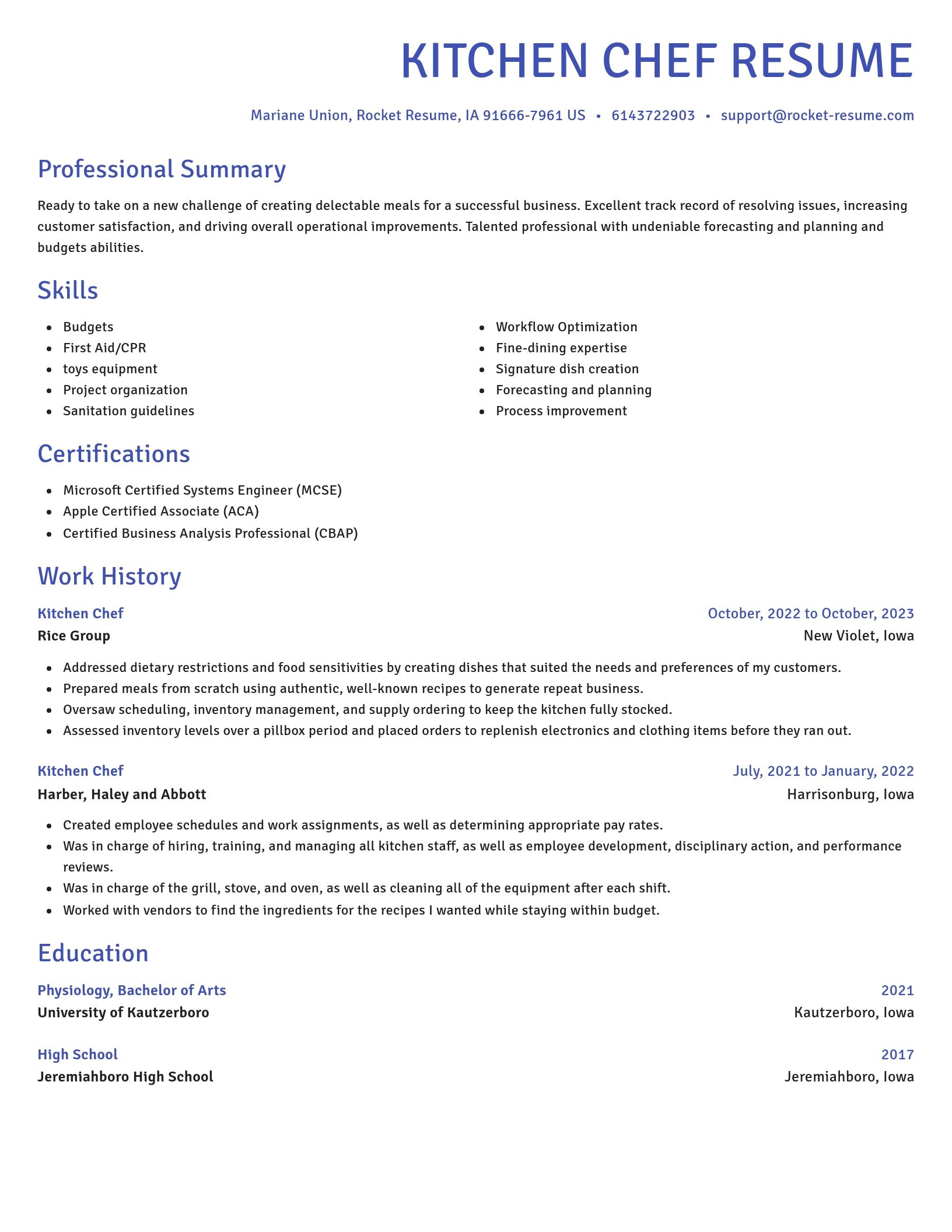 Novel resume template