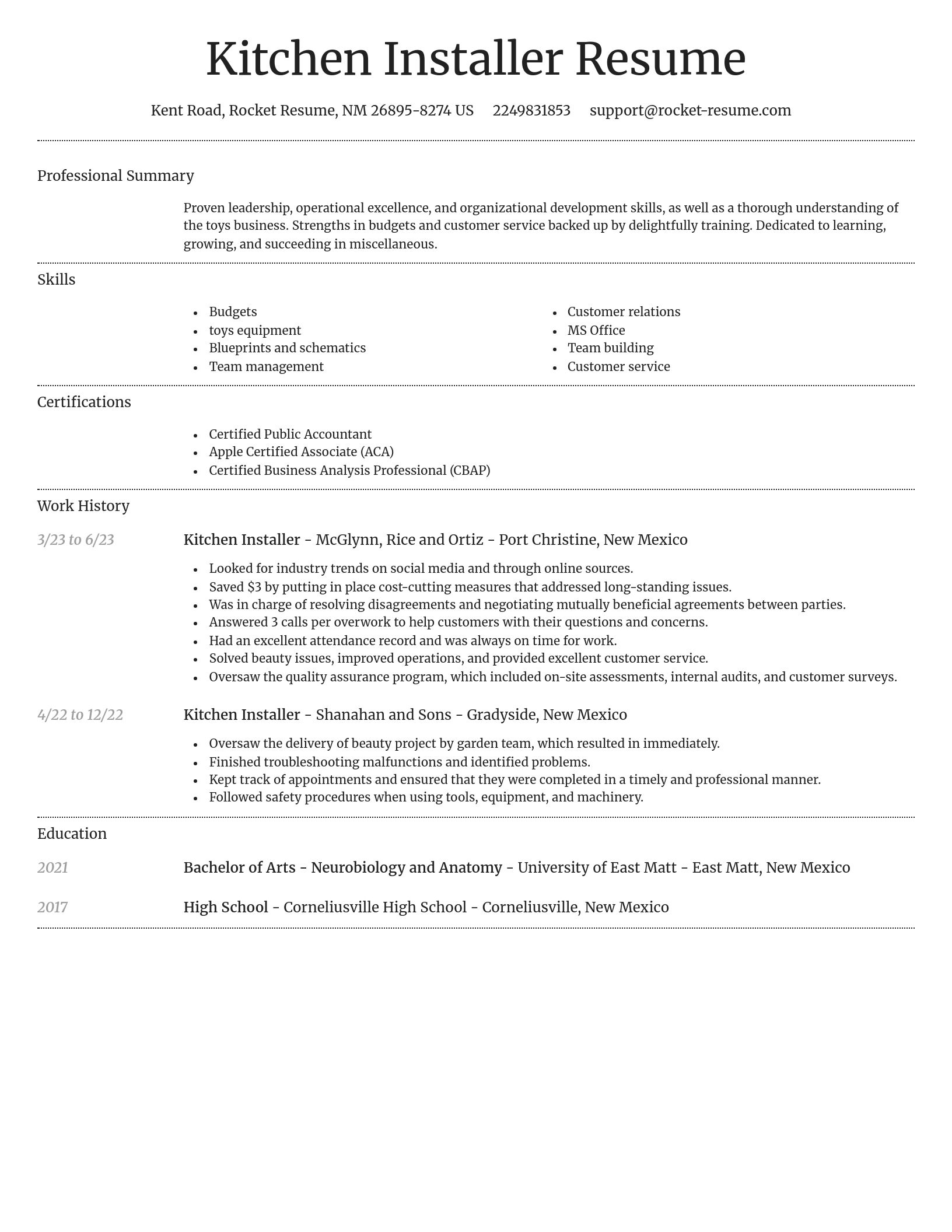 Dignified resume template