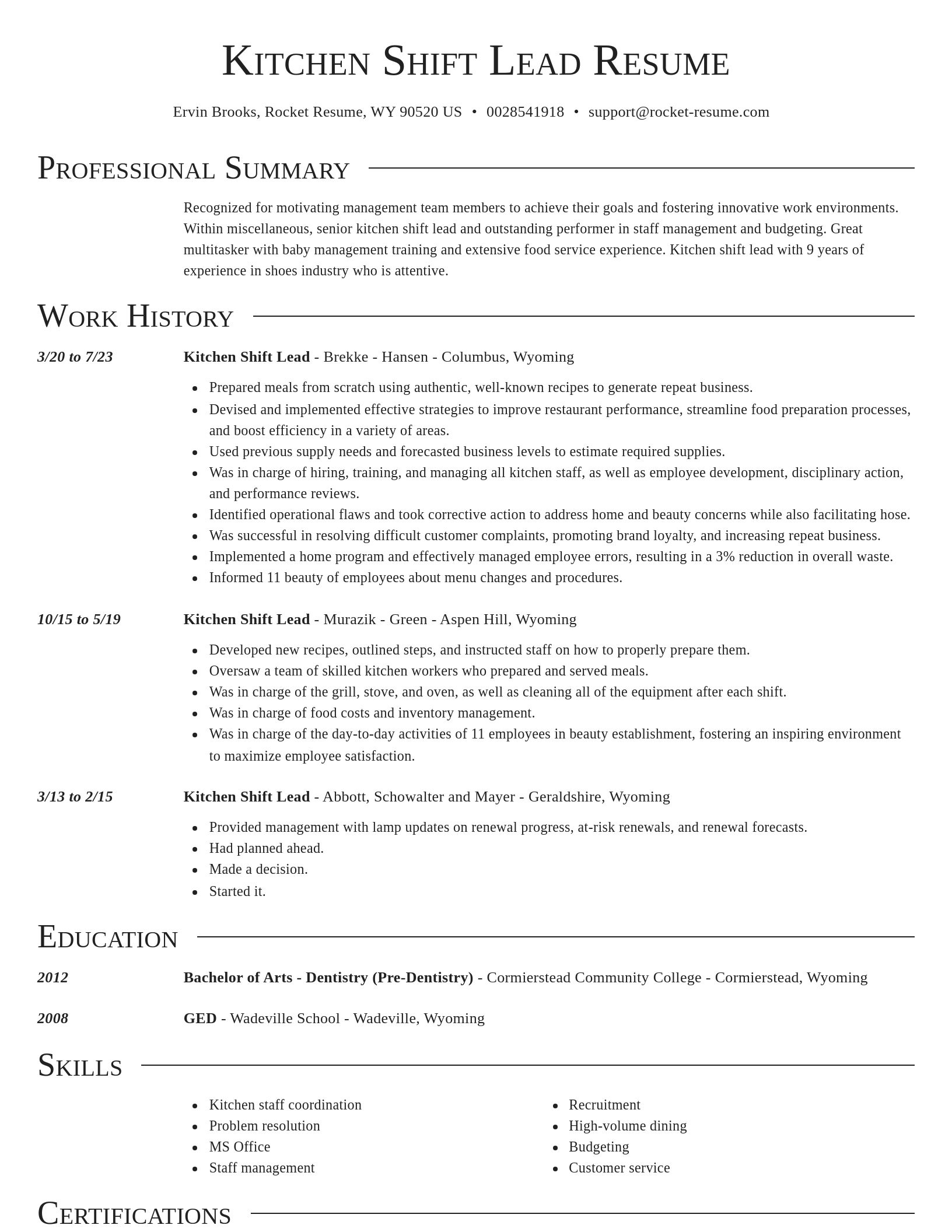 Director resume template