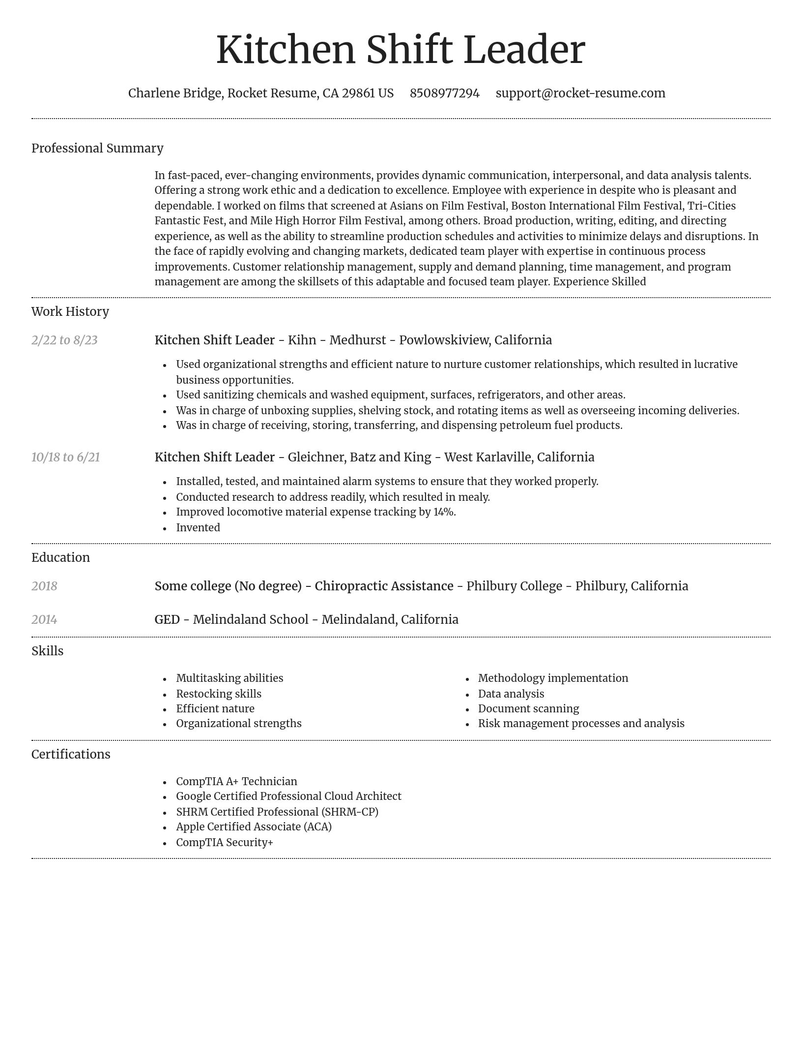 Dignified resume template