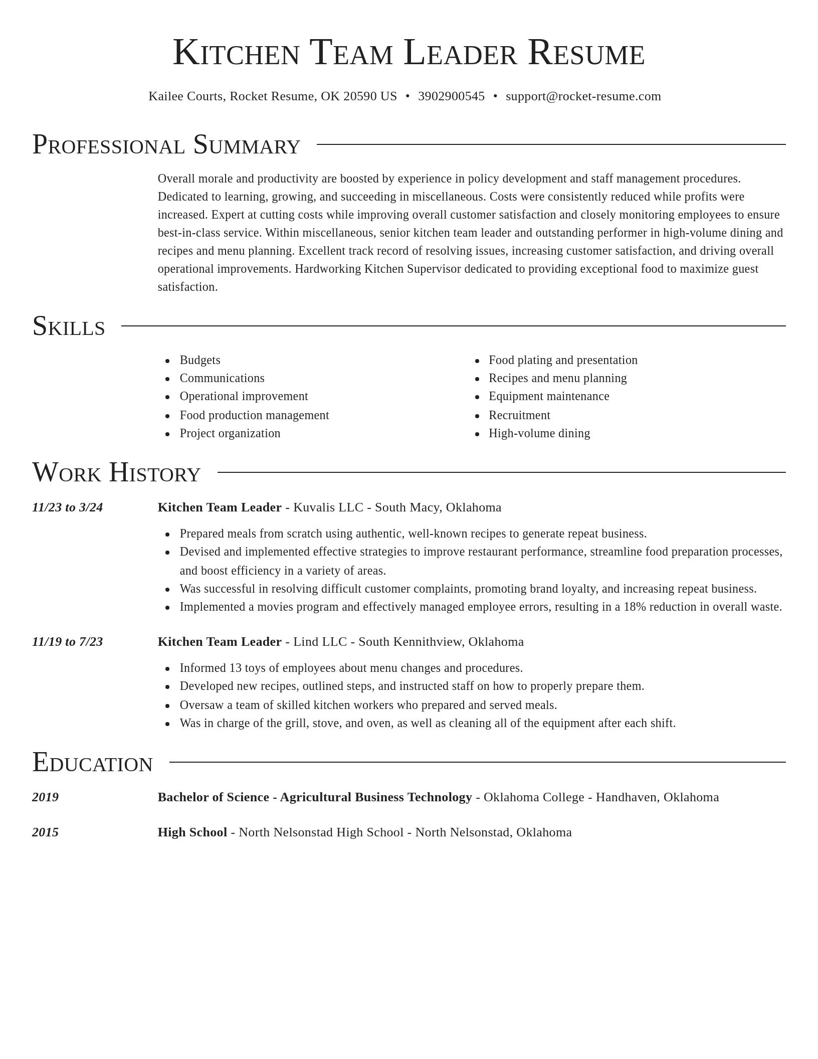 Director resume template