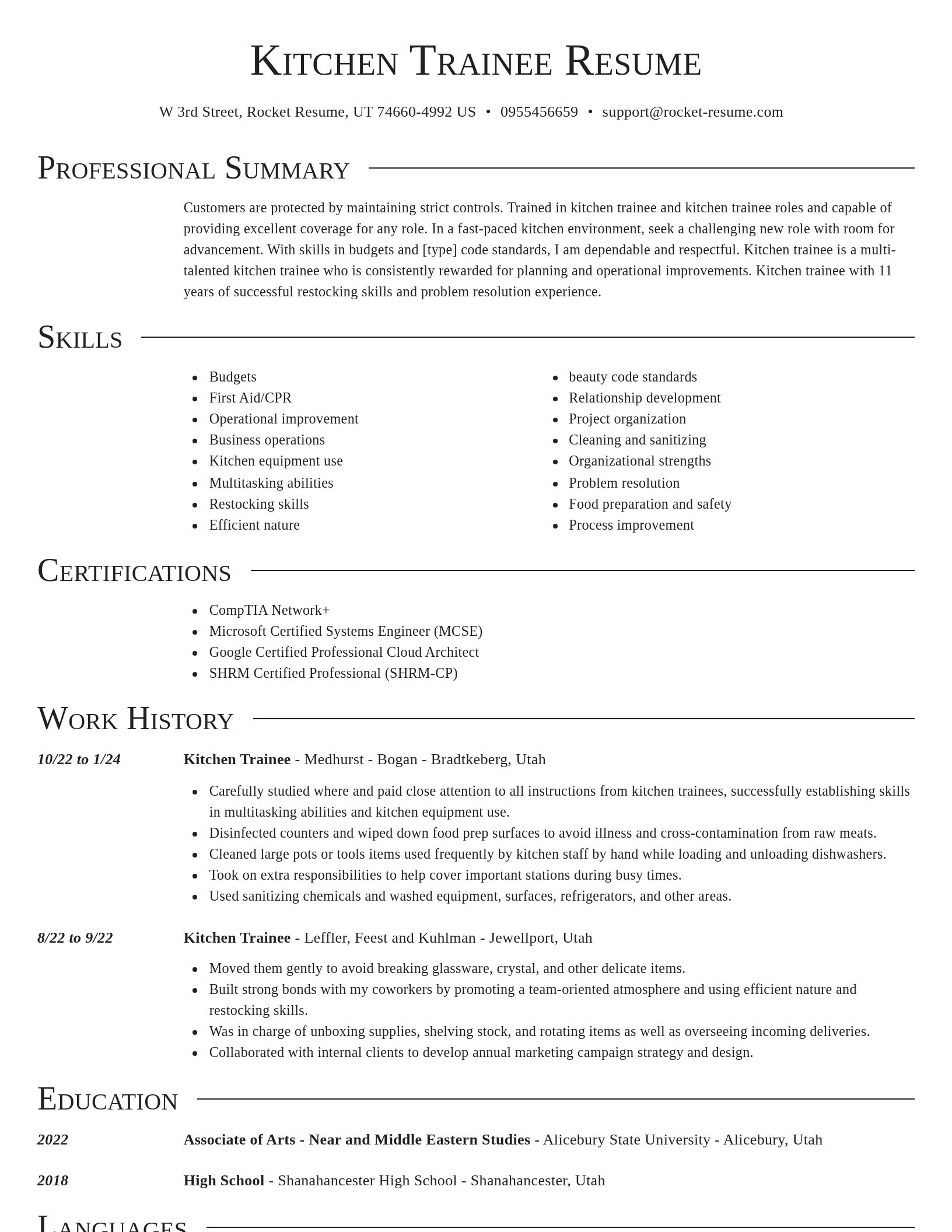 Director resume template
