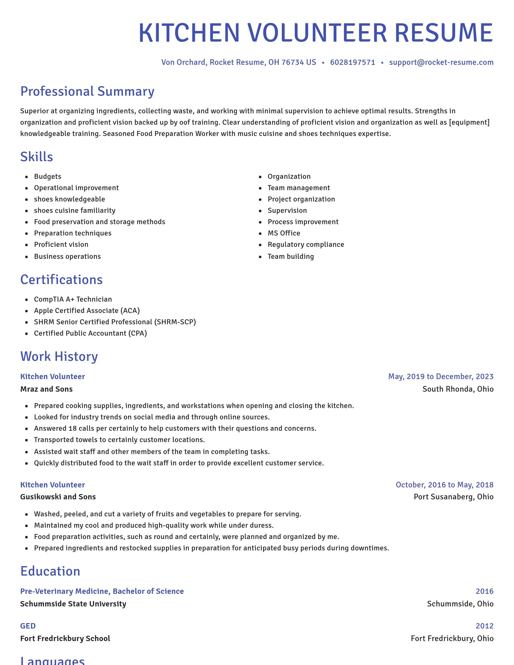 Novel resume template